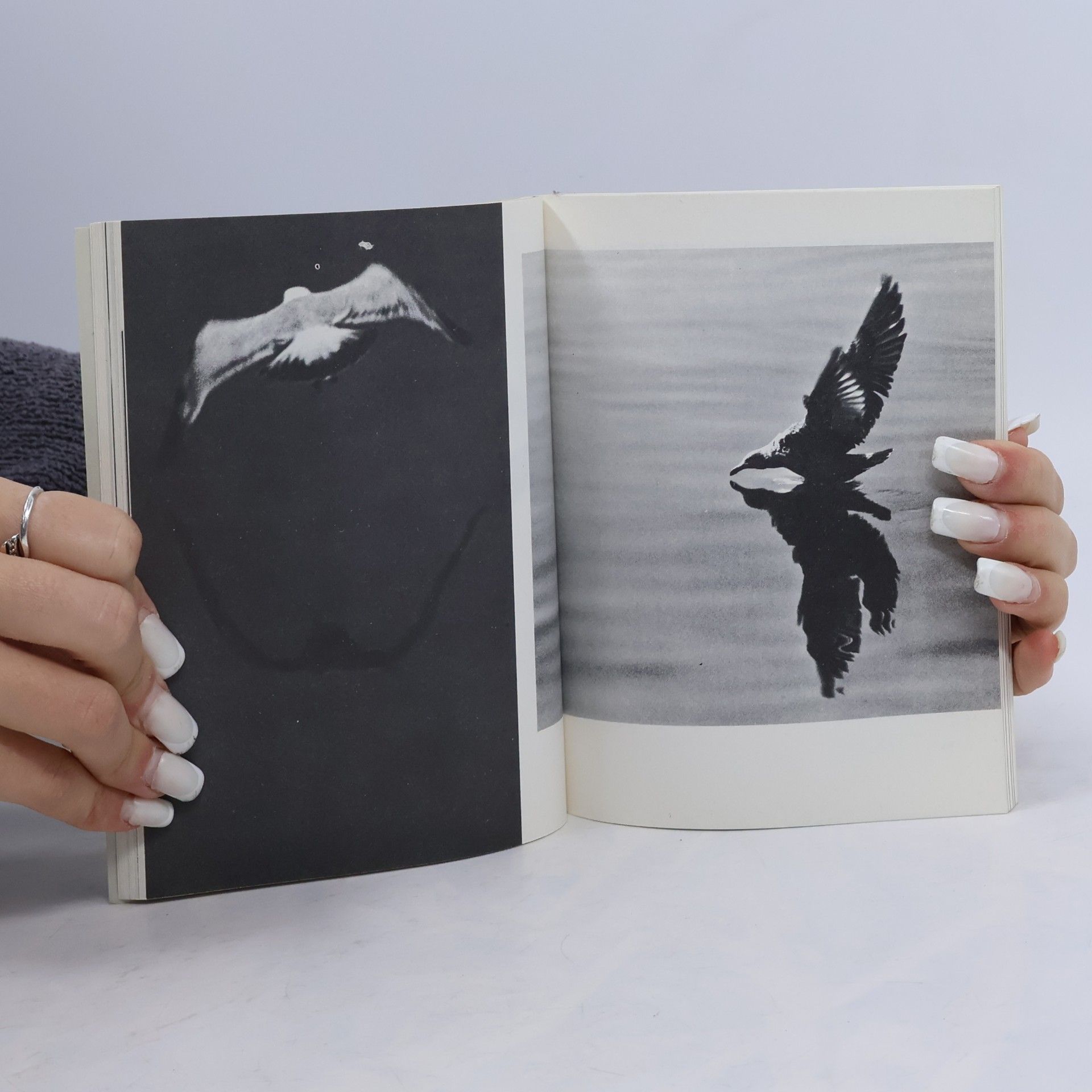 Richard Bach Jonathan Livingston Seagull. A Story