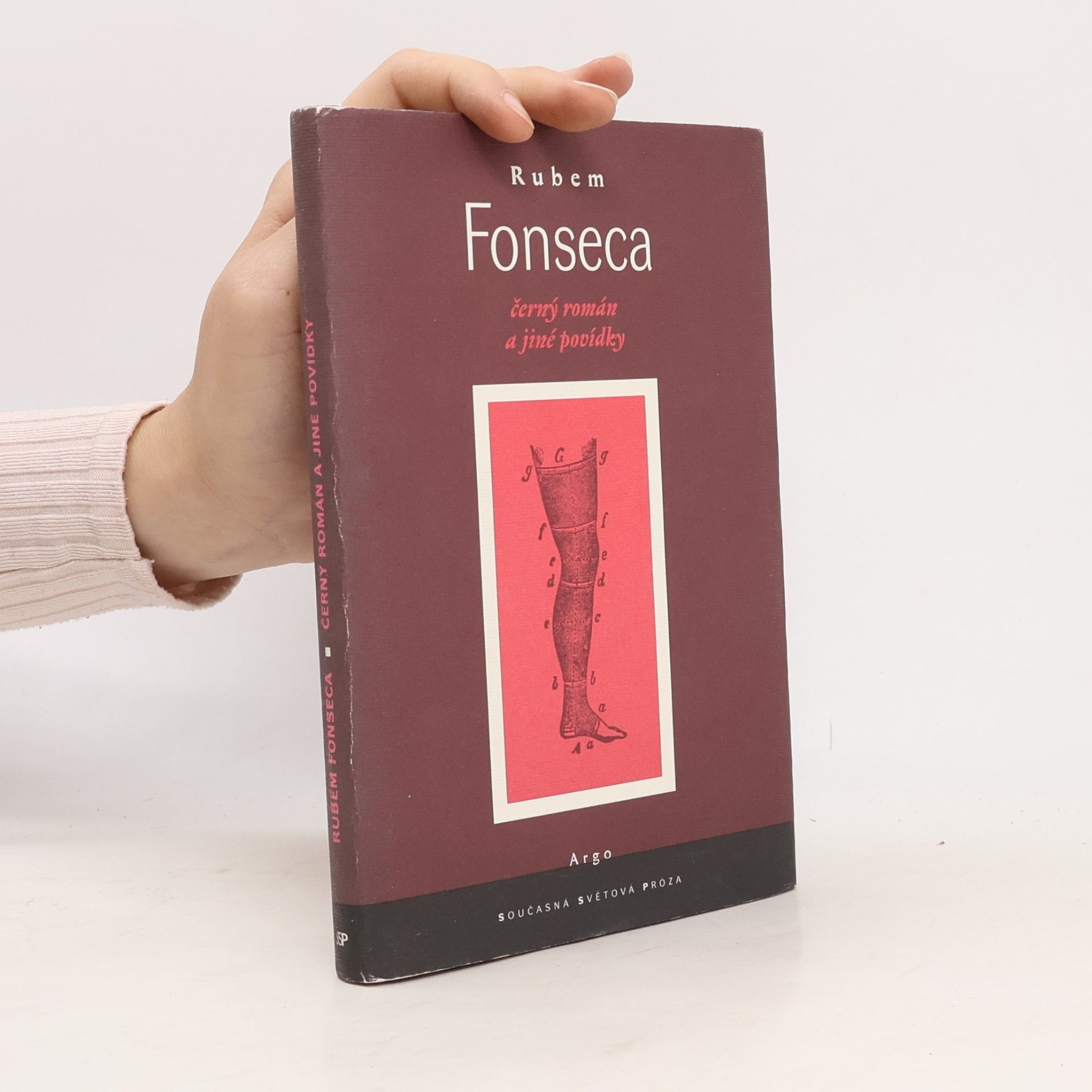 Rubem Fonseca Černý román a jiné povídky