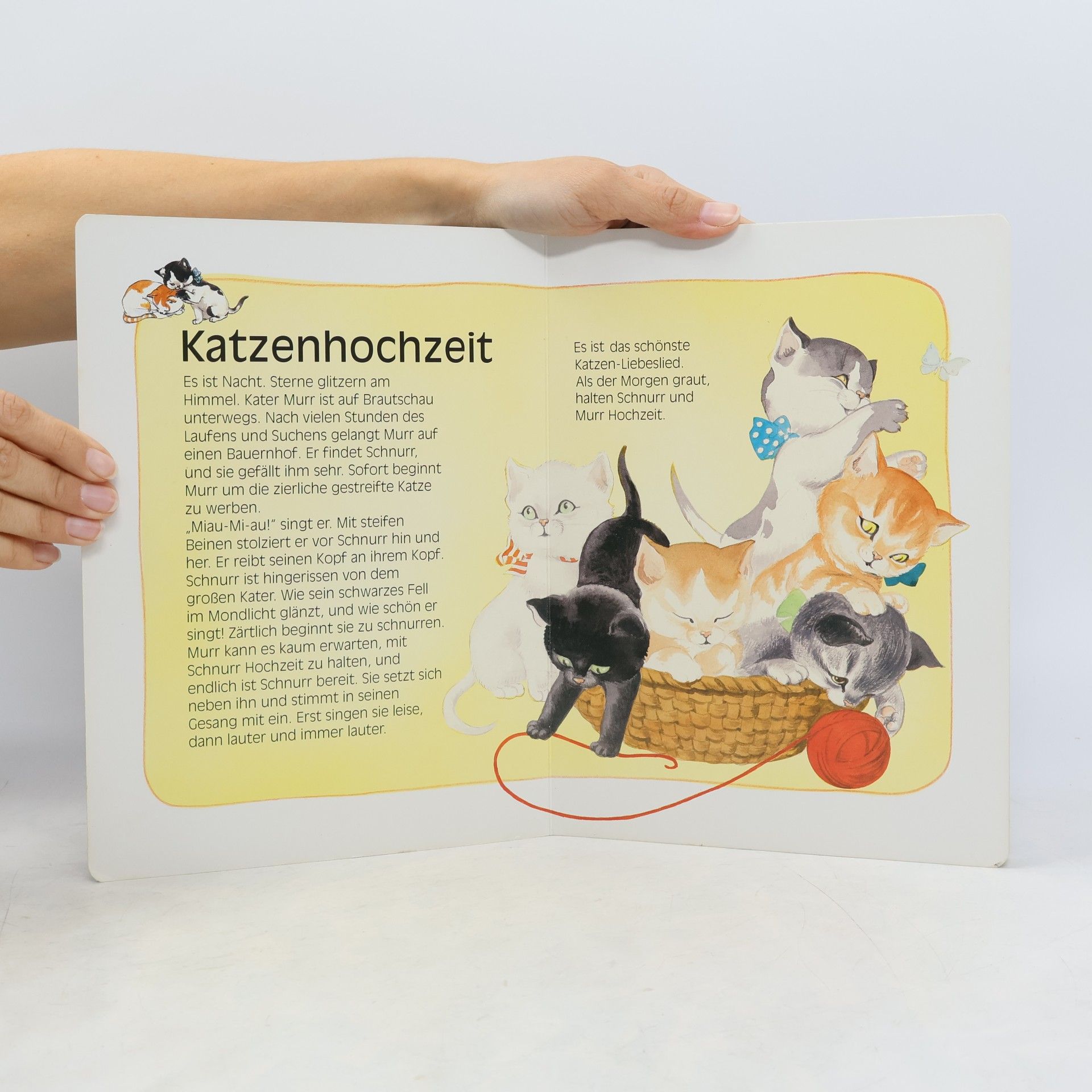 Collectif d'auteurs Abendgeschichten mit Schnurr und Murr