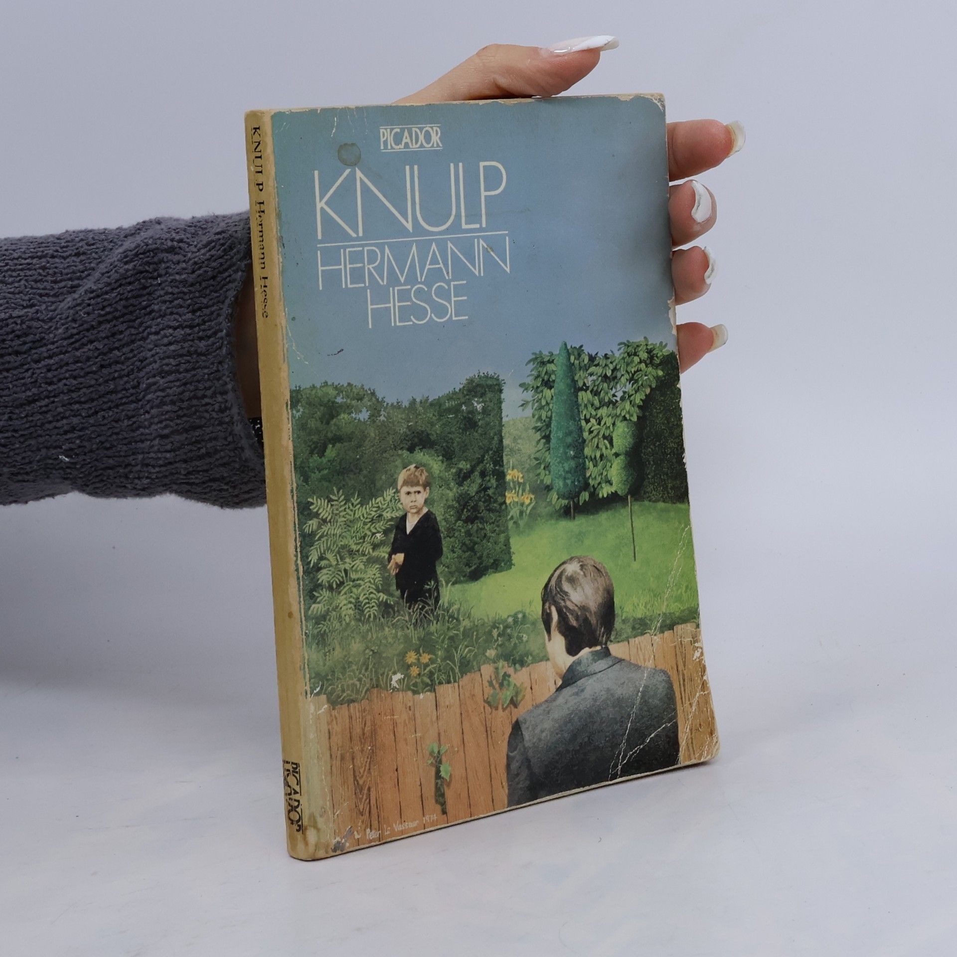 Hermann Hesse Knulp