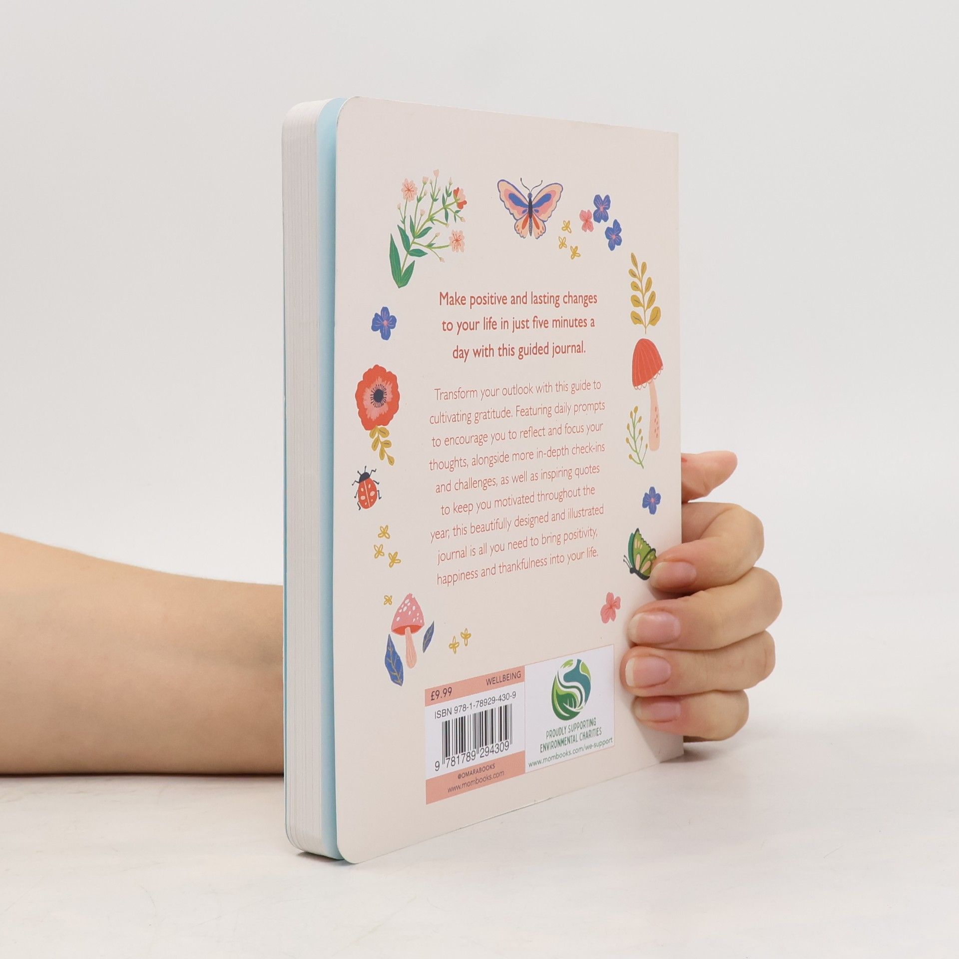 Amy Birch Your 5-Minute Journal