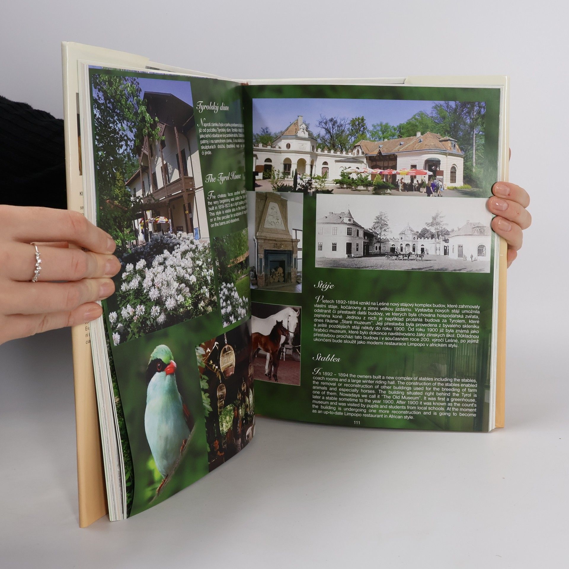 Radek Klimeš Lidé a zvířata : historie vzniku a významu zoologických zahrad = People and animals : history of the origin and importance of zoological garden