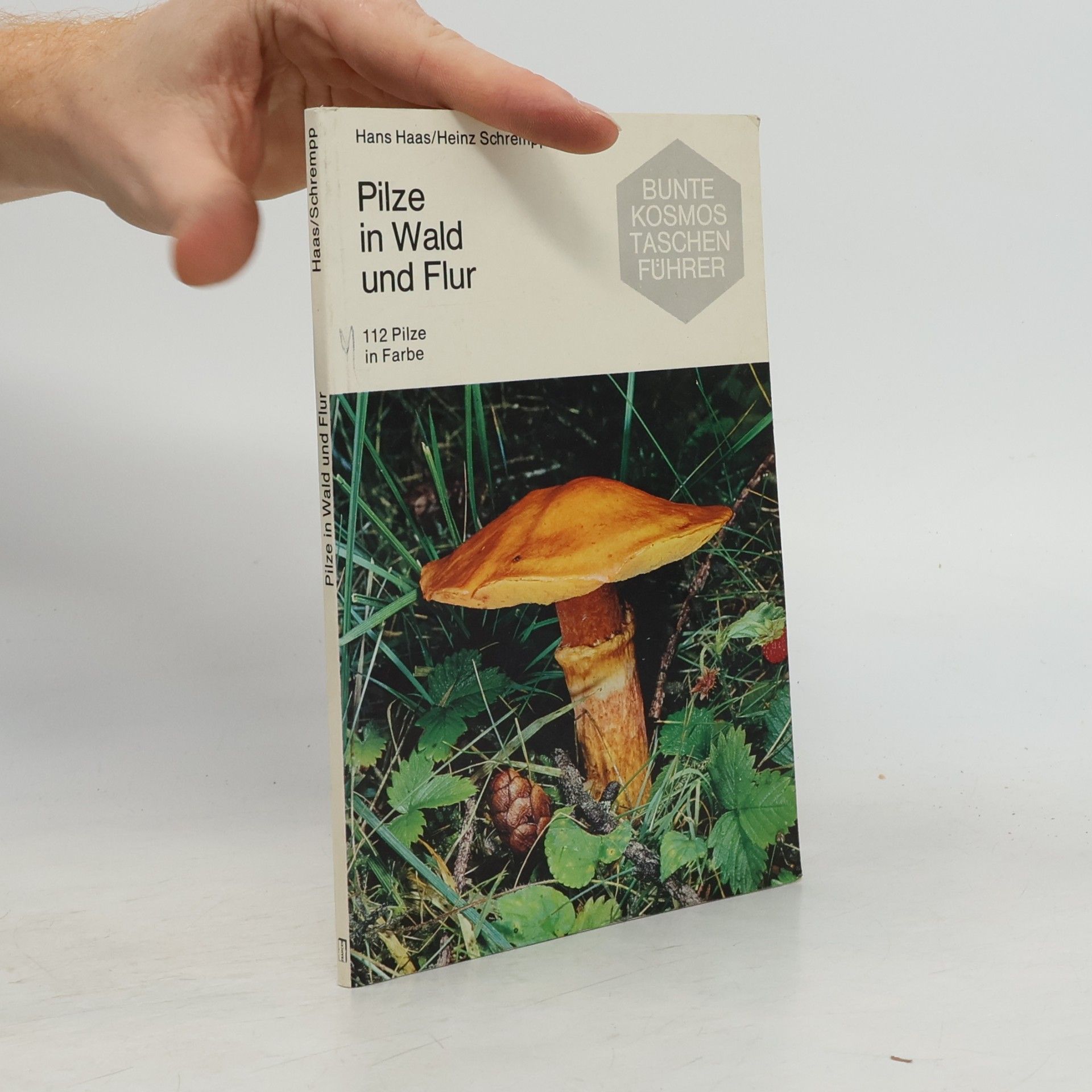 Pilze in Wald und Flur