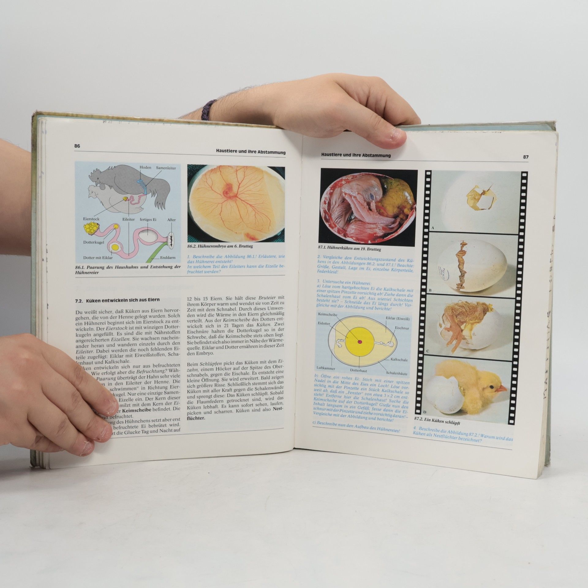 Biologie heute