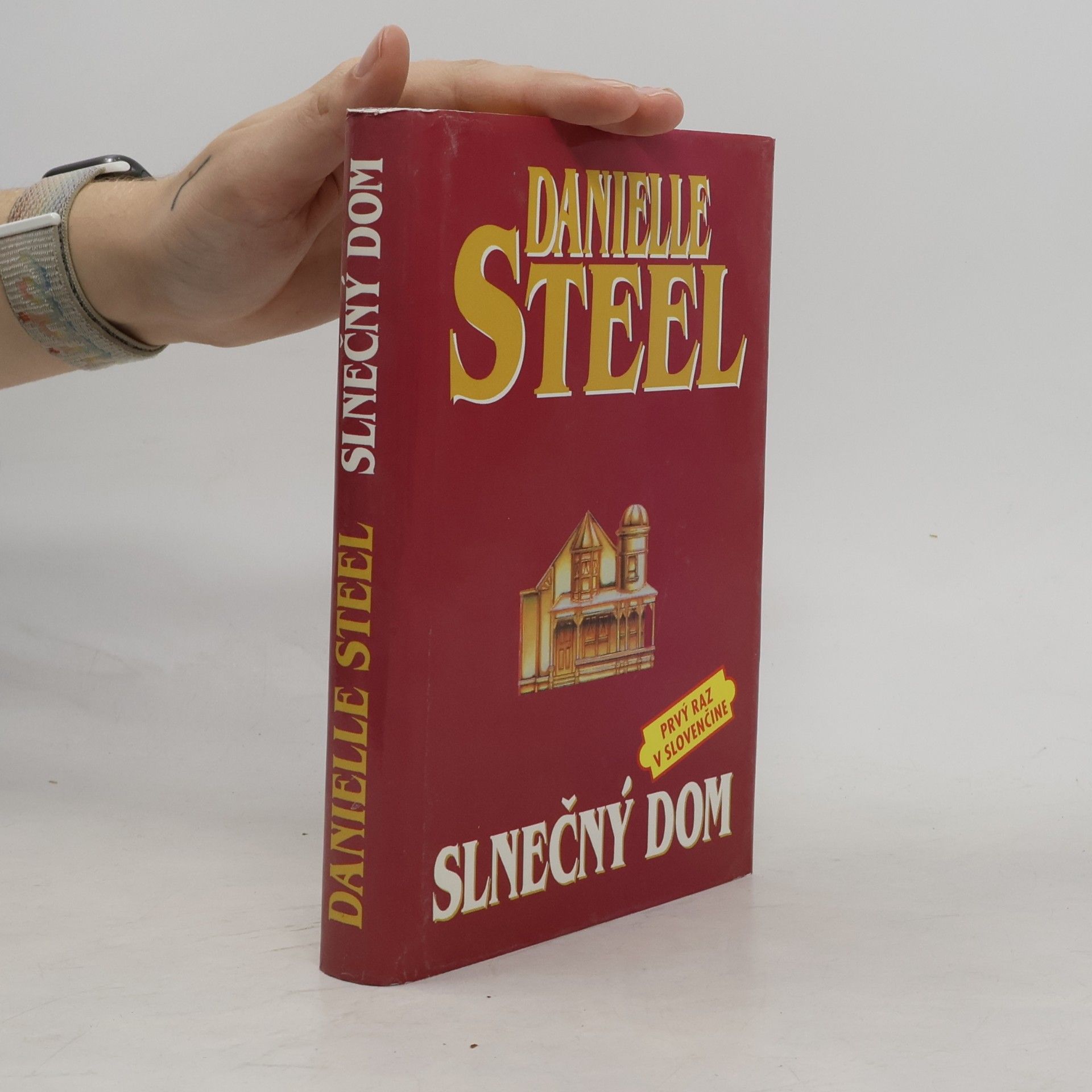 Danielle Steel Slnečný dom