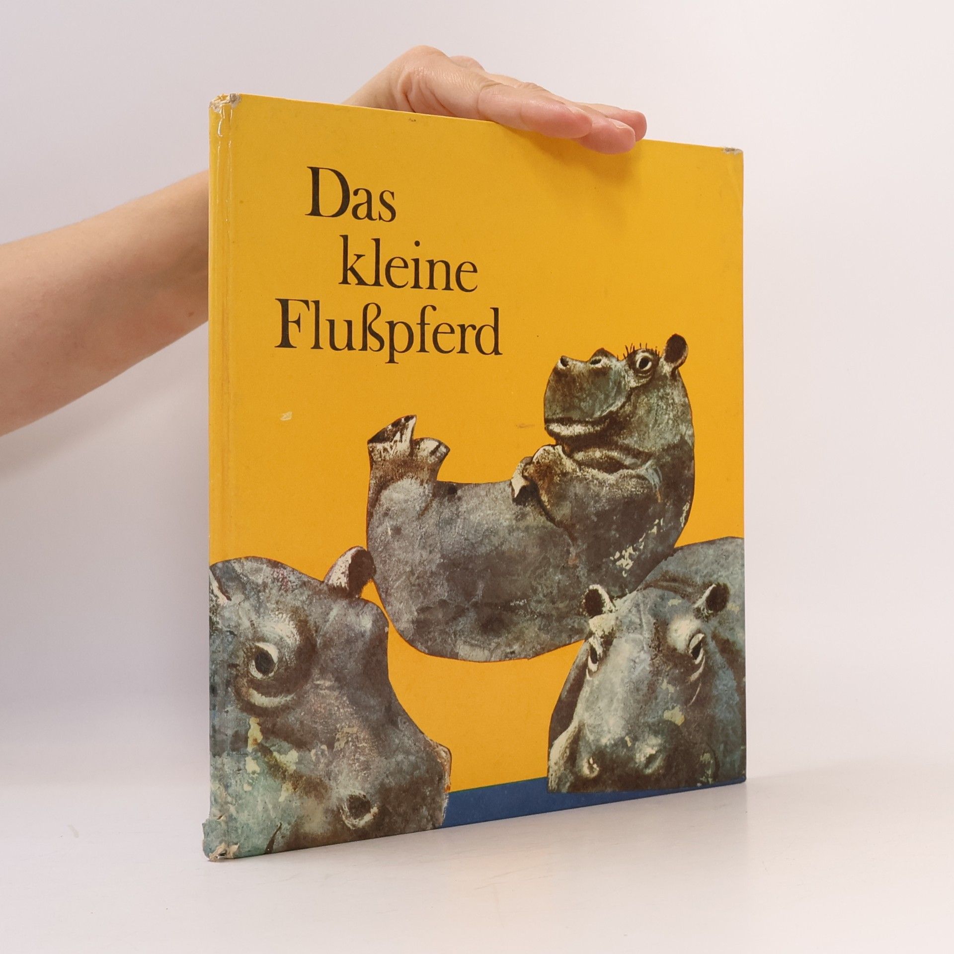 kolektiv Das kleine Flußpferd