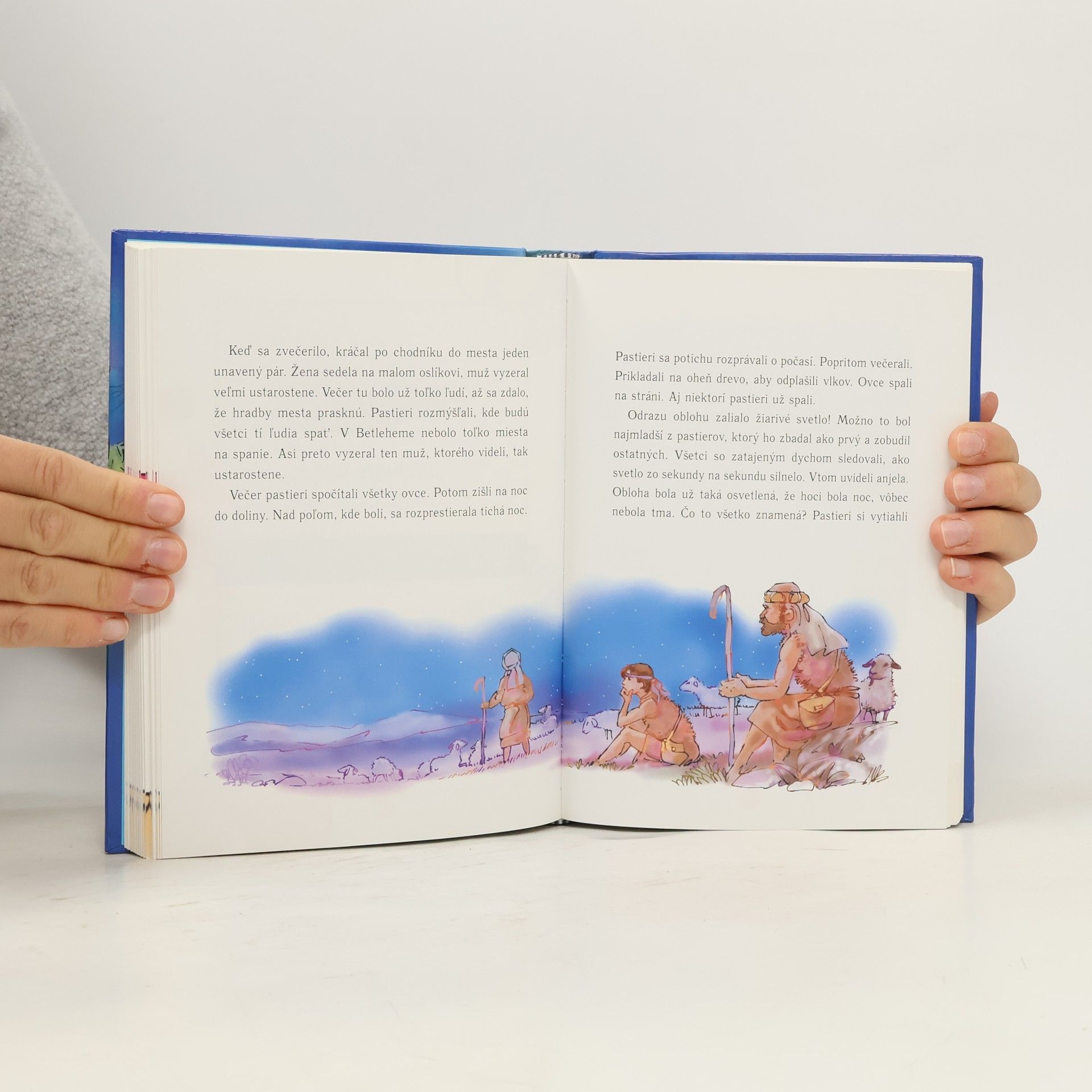 Joe Boddy Biblia správnych rozhodnutí