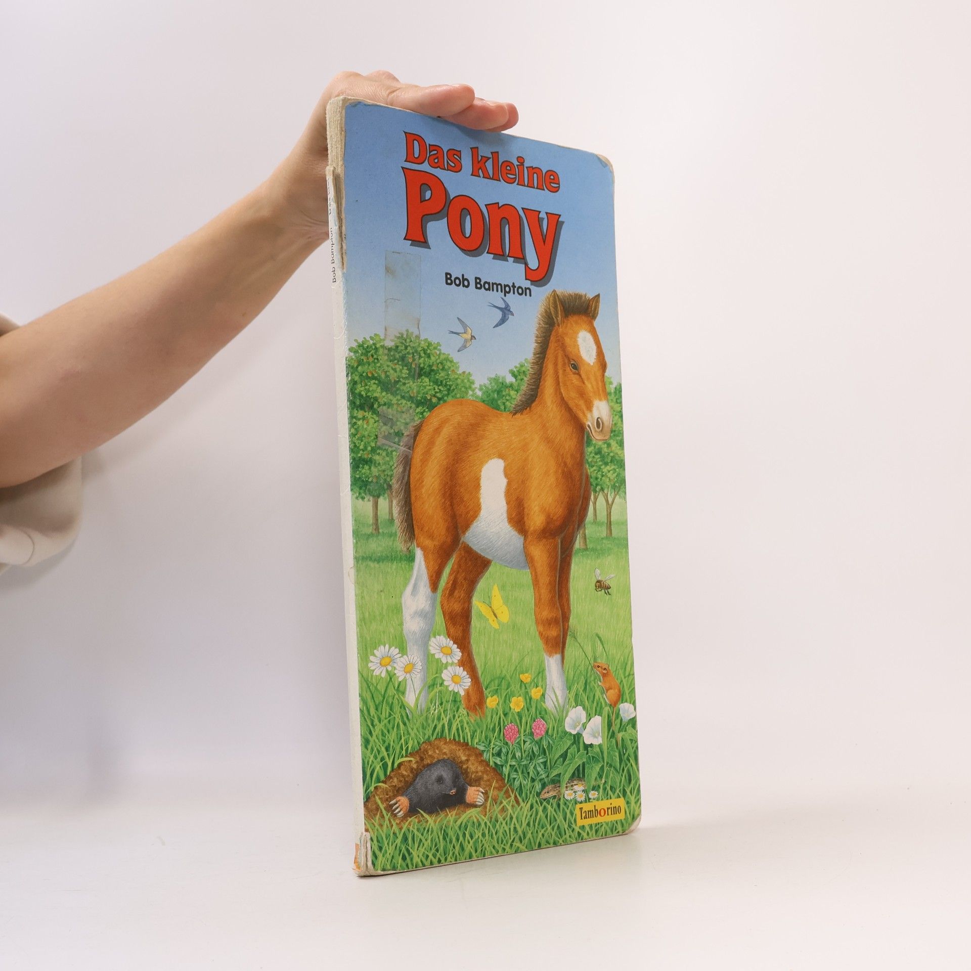 Bob Bampton Das kleine Pony