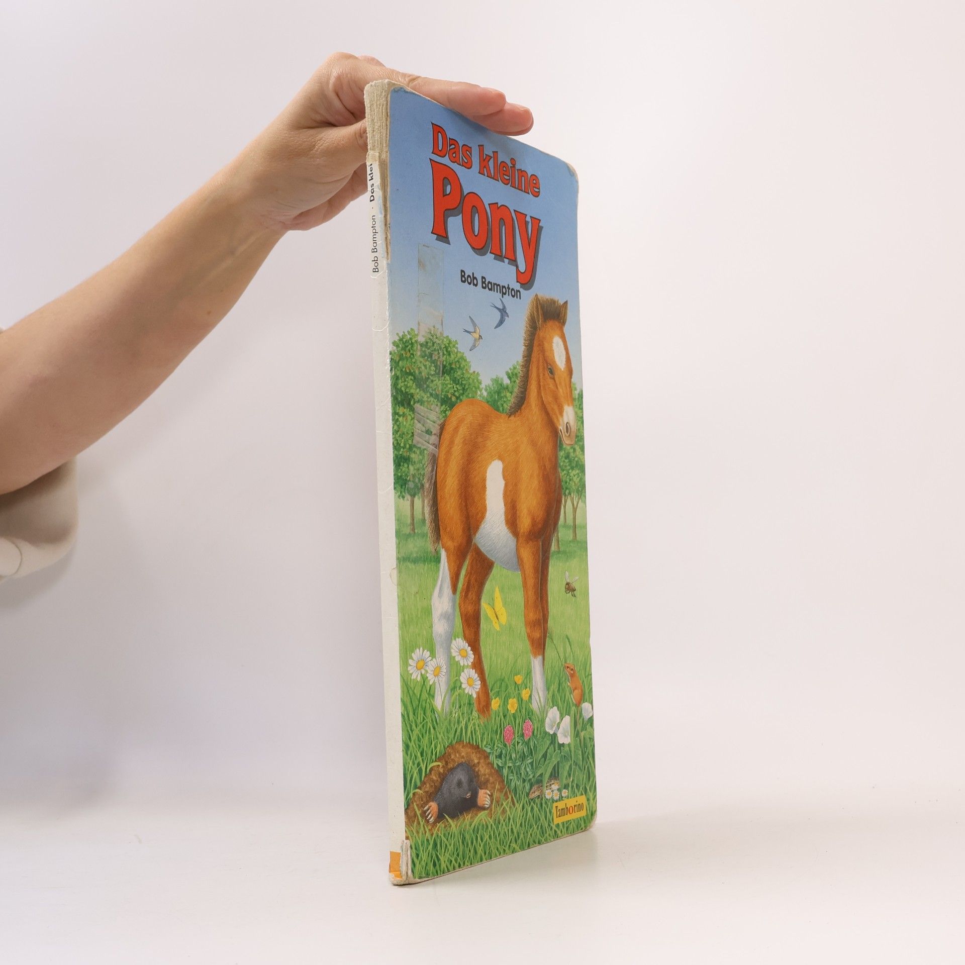 Bob Bampton Das kleine Pony