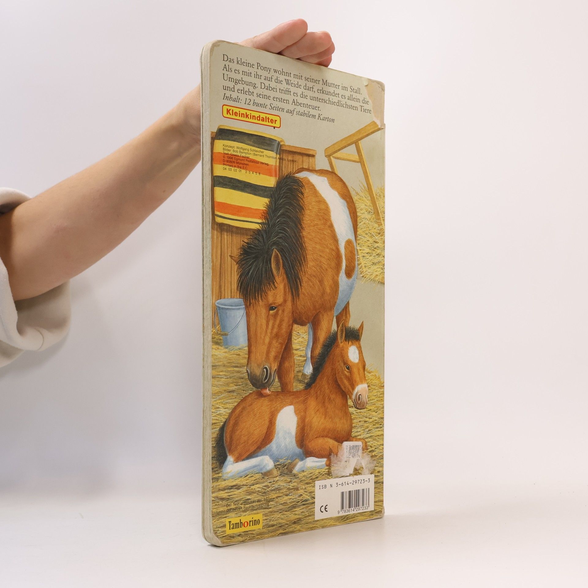 Bob Bampton Das kleine Pony