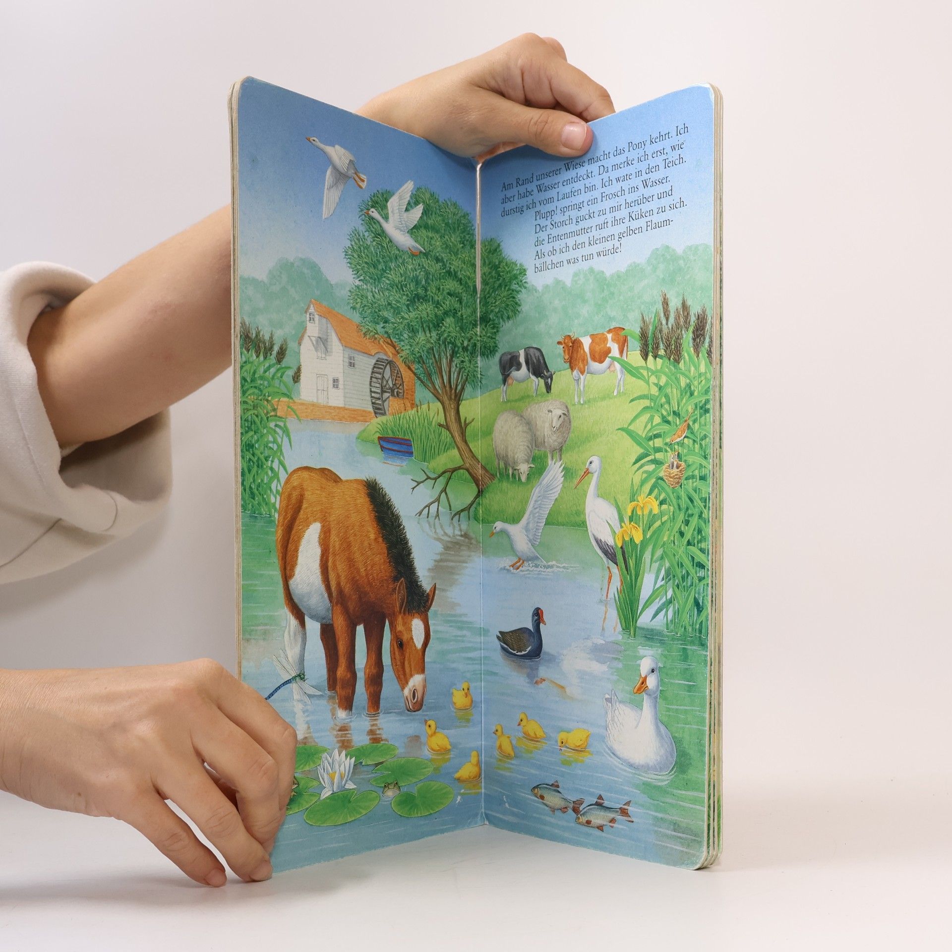 Bob Bampton Das kleine Pony