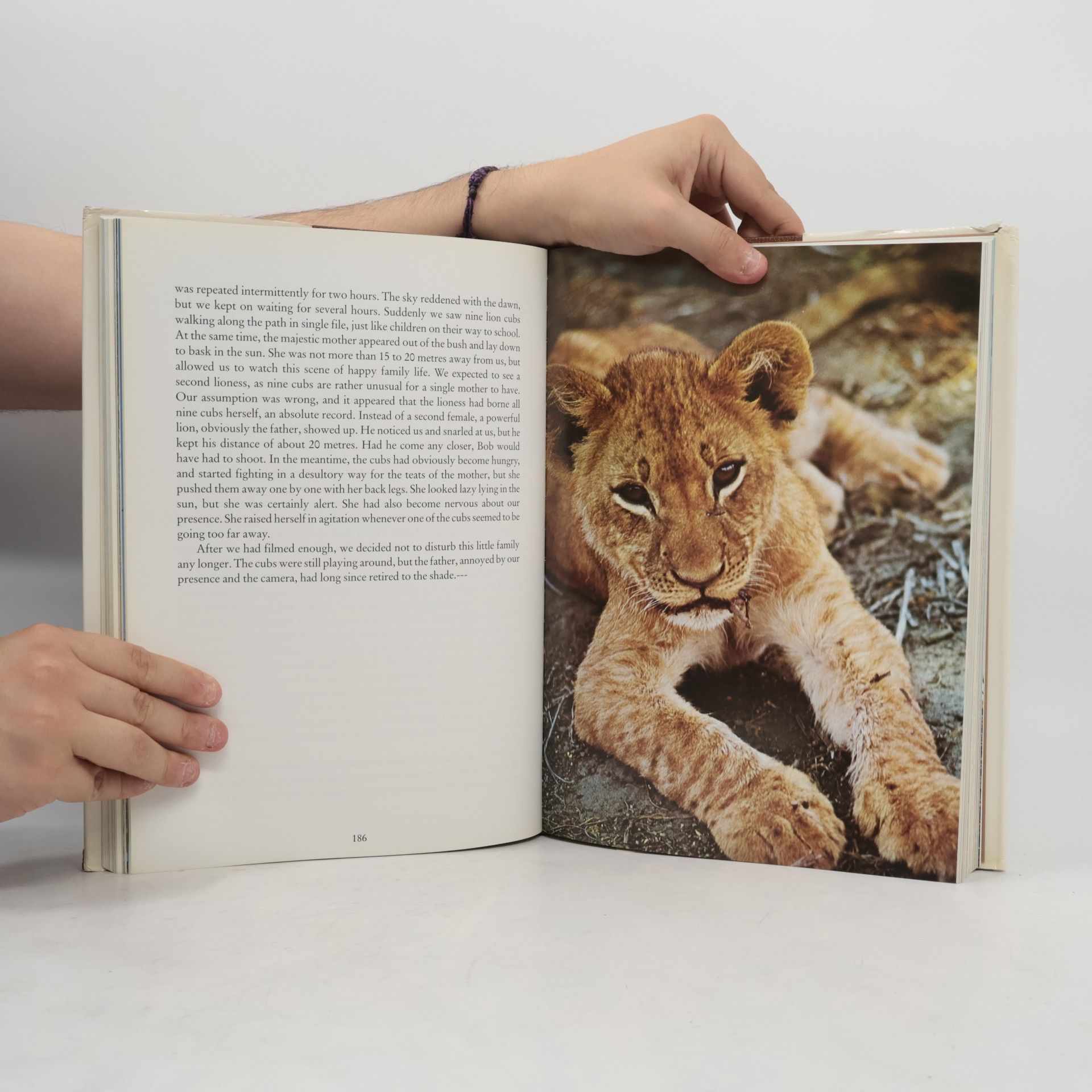 Eduard Zingg At Home in the Wild