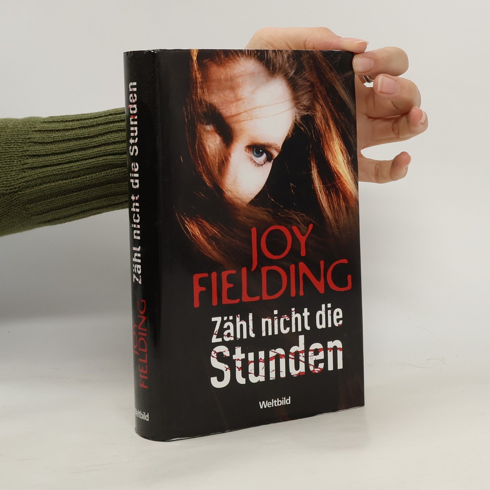Joy Fielding Zähl nicht die Stunden