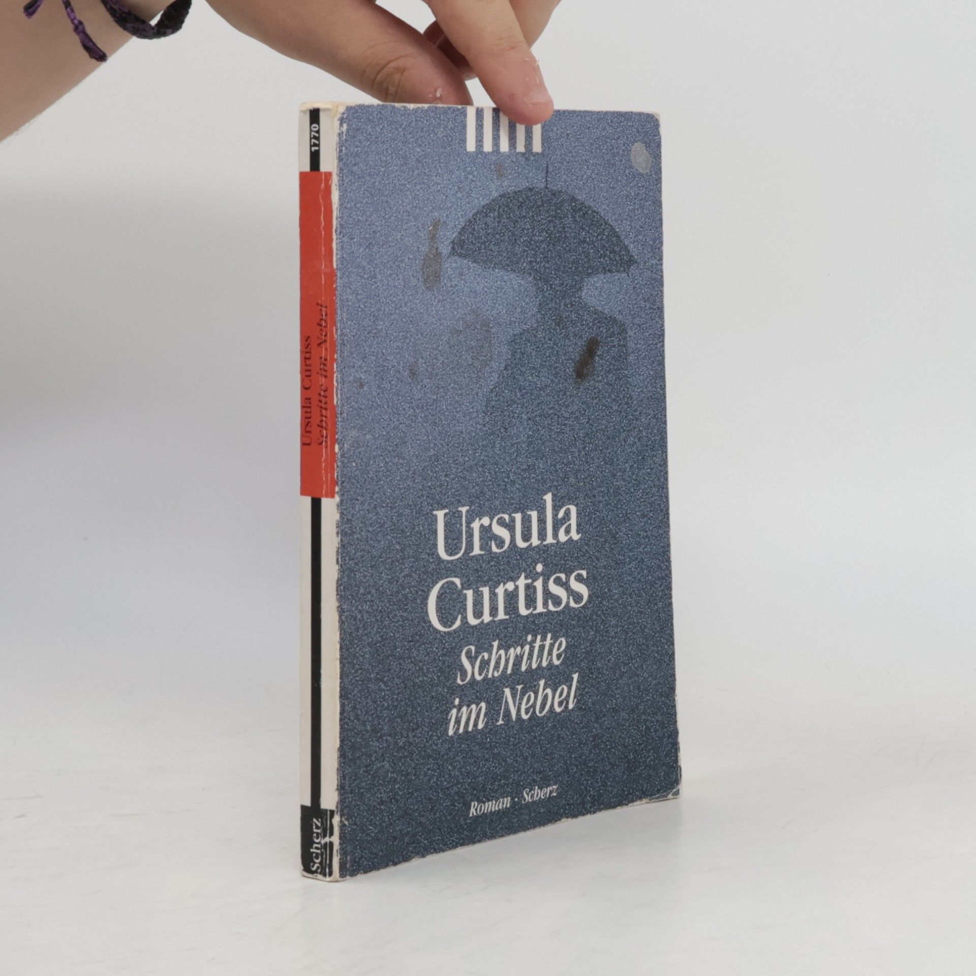 Ursula Curtiss Schritte im Nebel