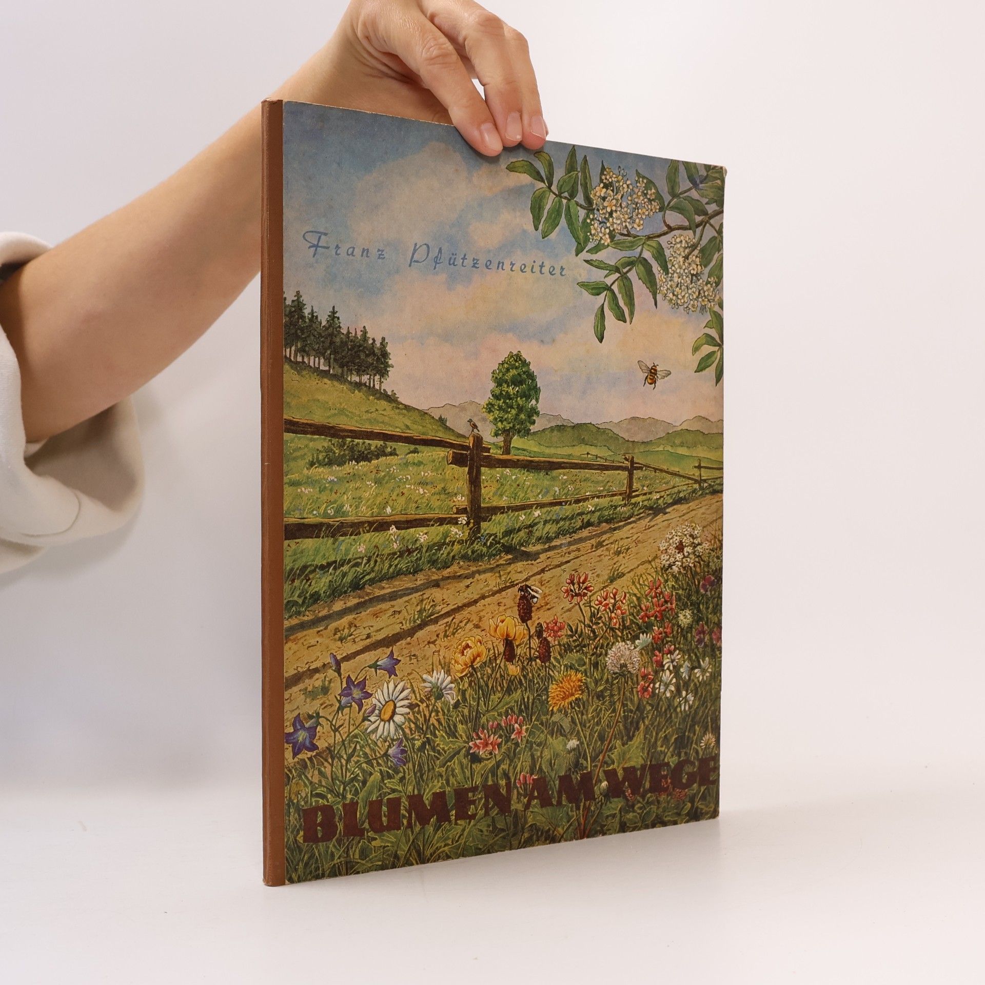 Franz Pfützenreiter Blumen am Wege