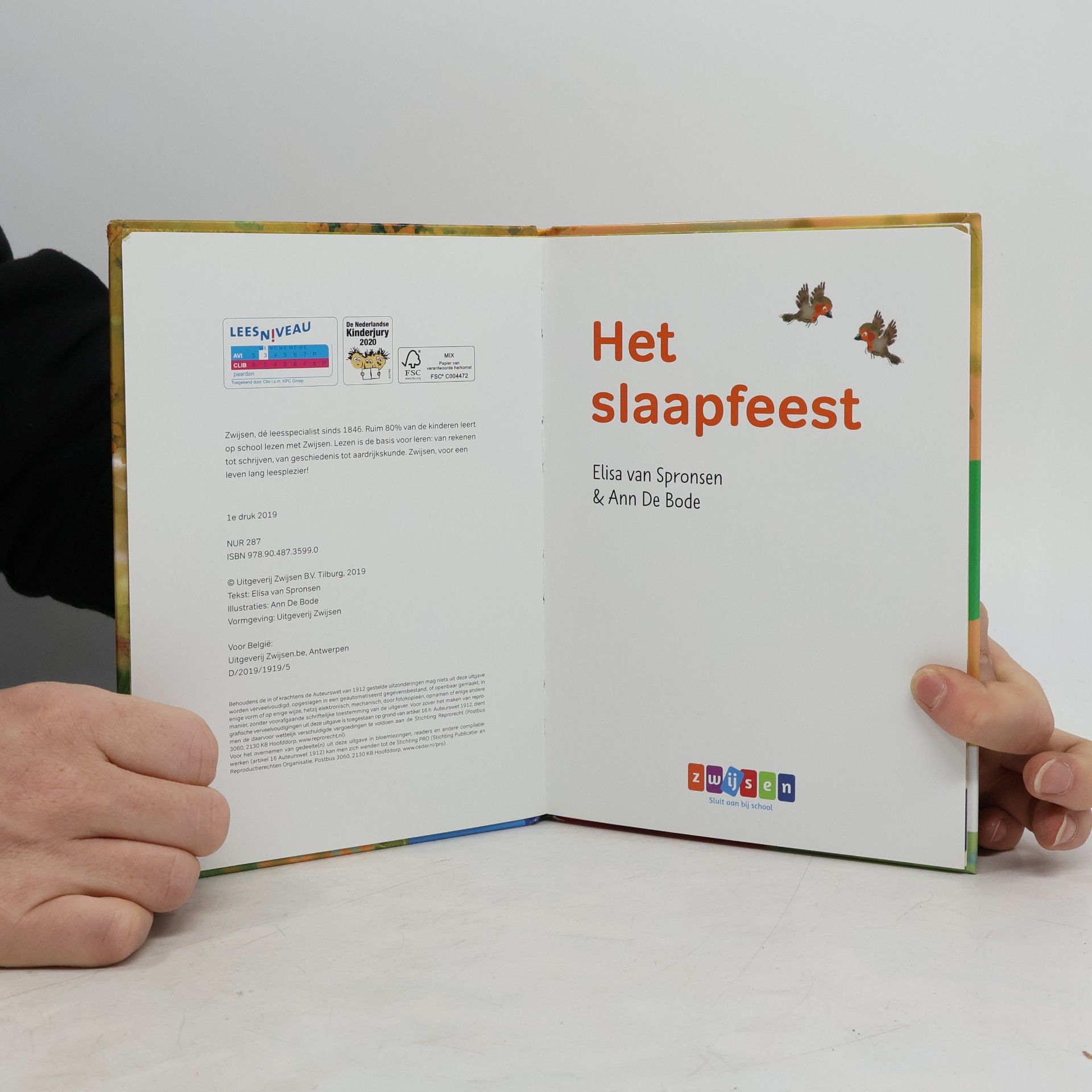 Elisa van Spronsen Het slaapfeest (Lot en Ot)