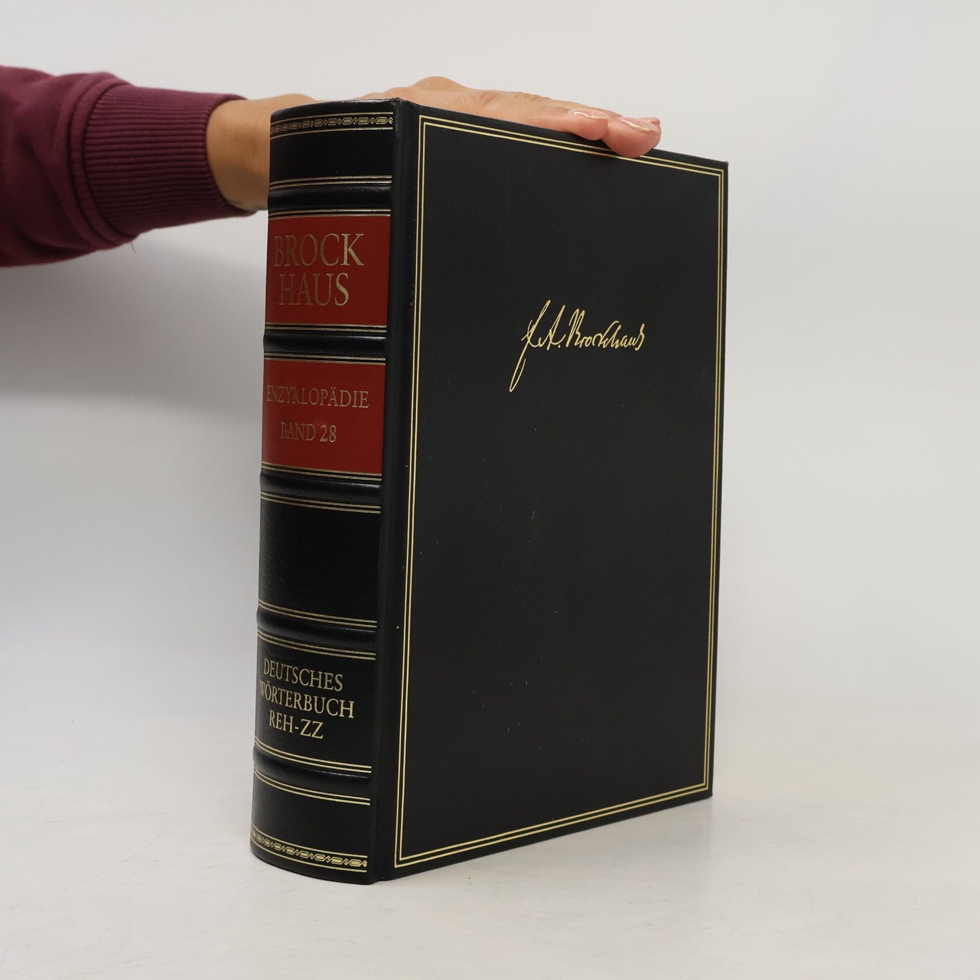 kolektiv Brockhaus Enzyklopädie 28