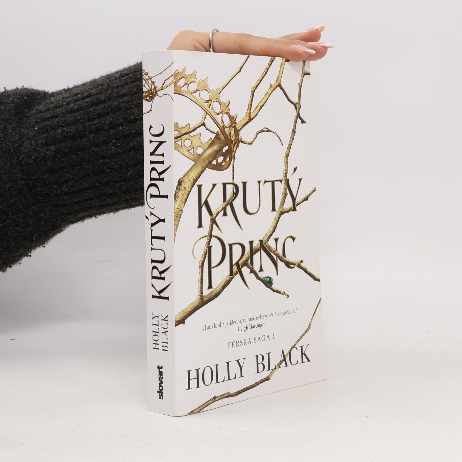 Holly Black Krutý princ