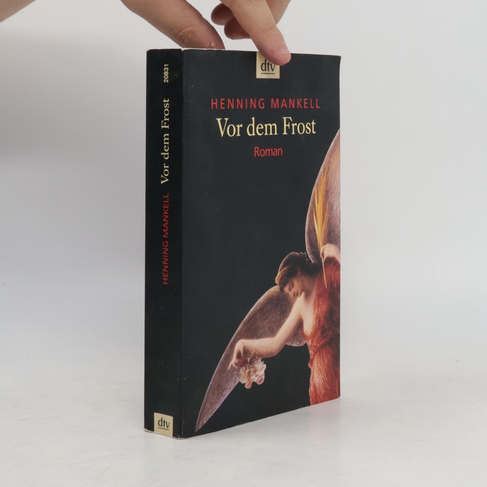 Henning Mankell Vor dem Frost