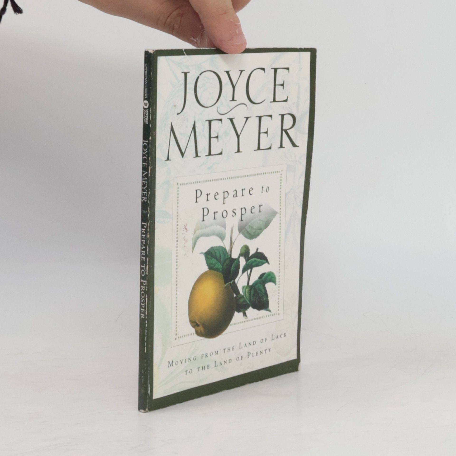 Joyce Meyer Prepare to Prosper