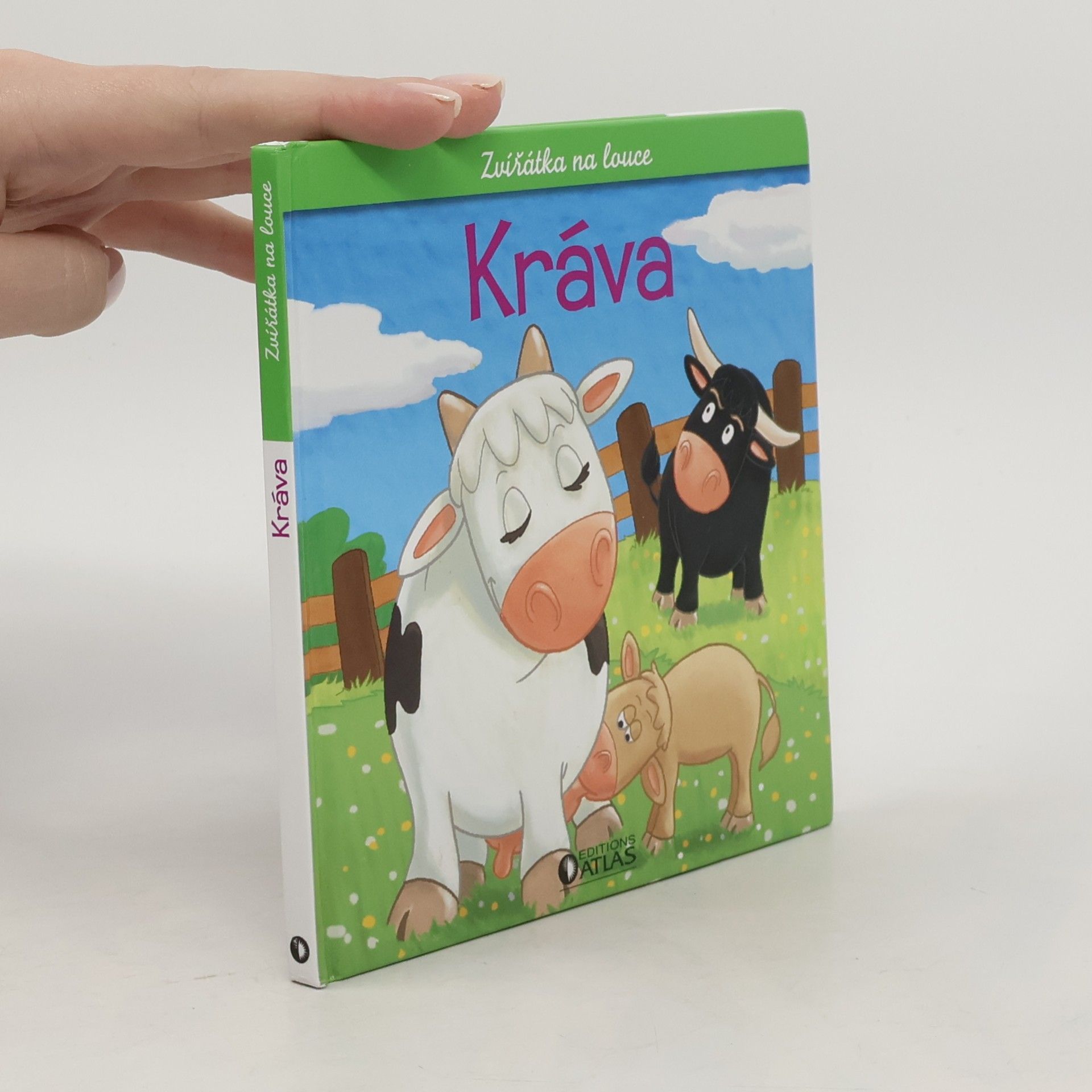kolektiv Kráva, býk a tele Kráva