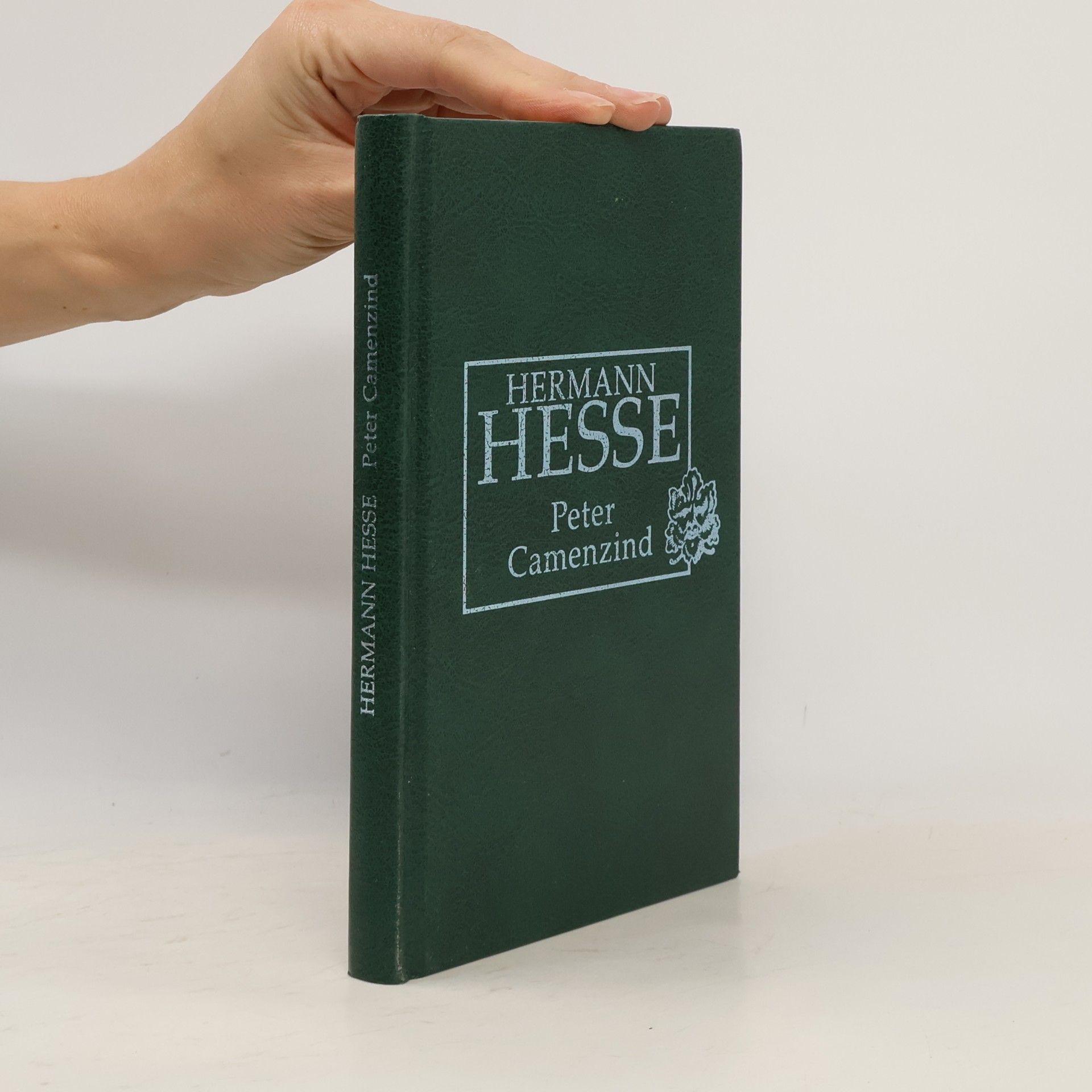 Hermann Hesse Petr Camenzind