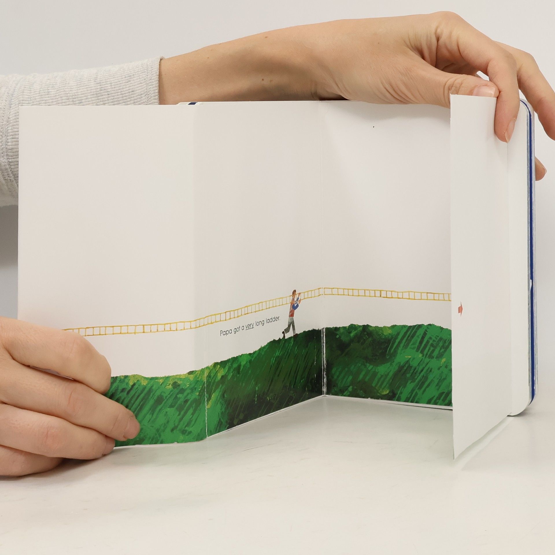 Eric Carle Papa, Please Get the Moon for Me