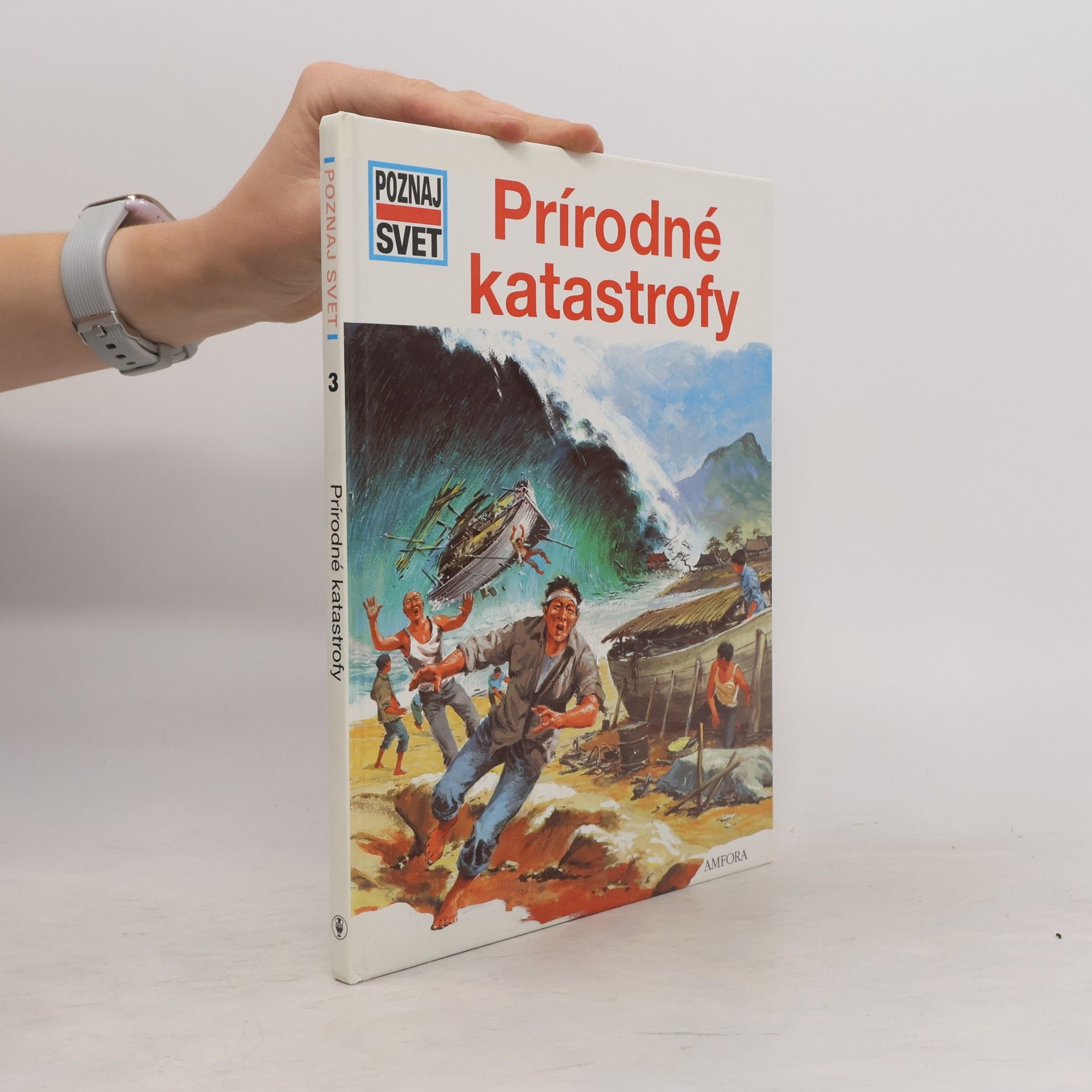 Autorenkollektiv Prírodné katastrofy