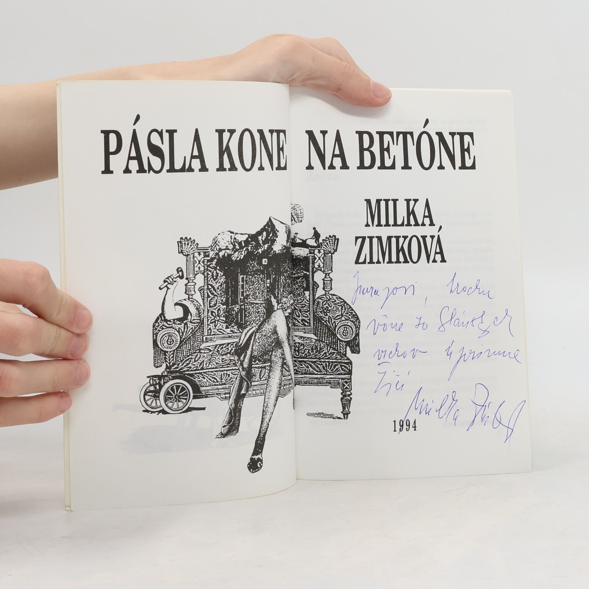 Milka Zimková Pásla kone na betóne