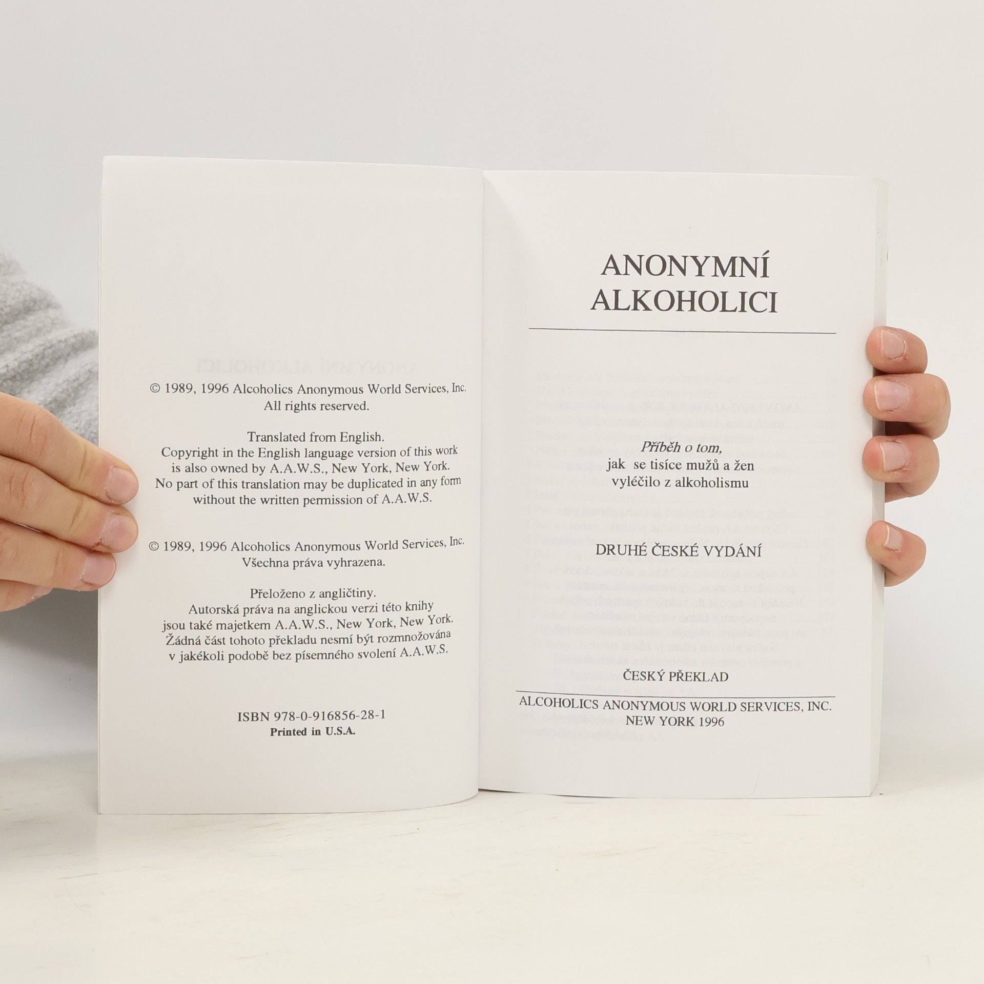 Various authors Anonymní alkoholici