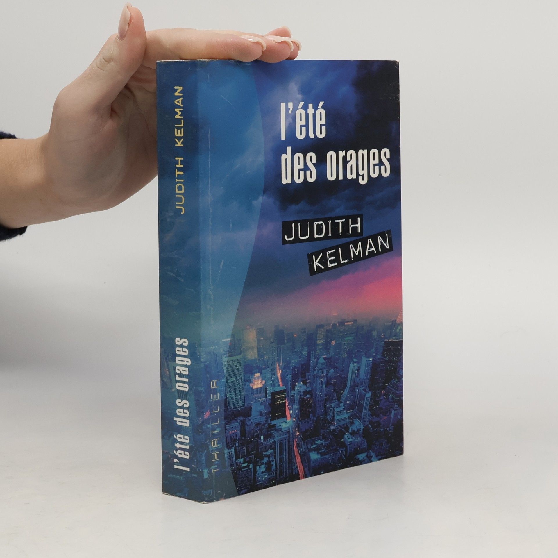 Judith Kelman L'été des orages