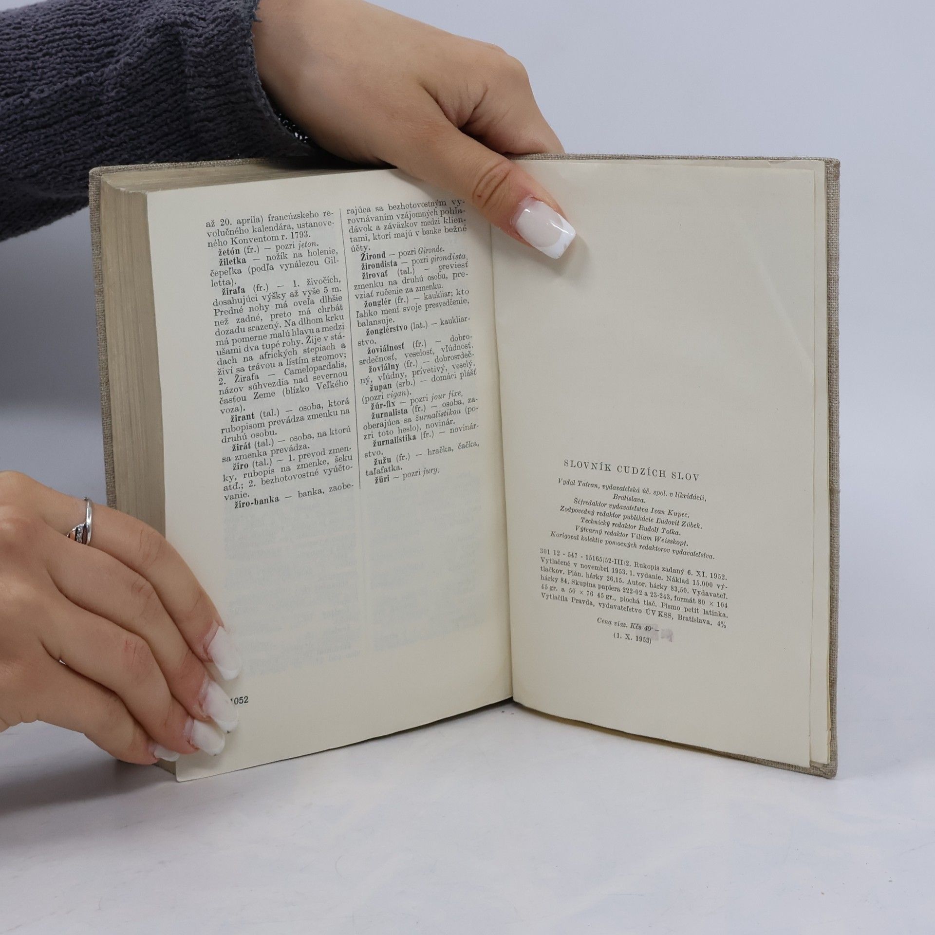 Autorenkollektiv Slovník cudzích slov