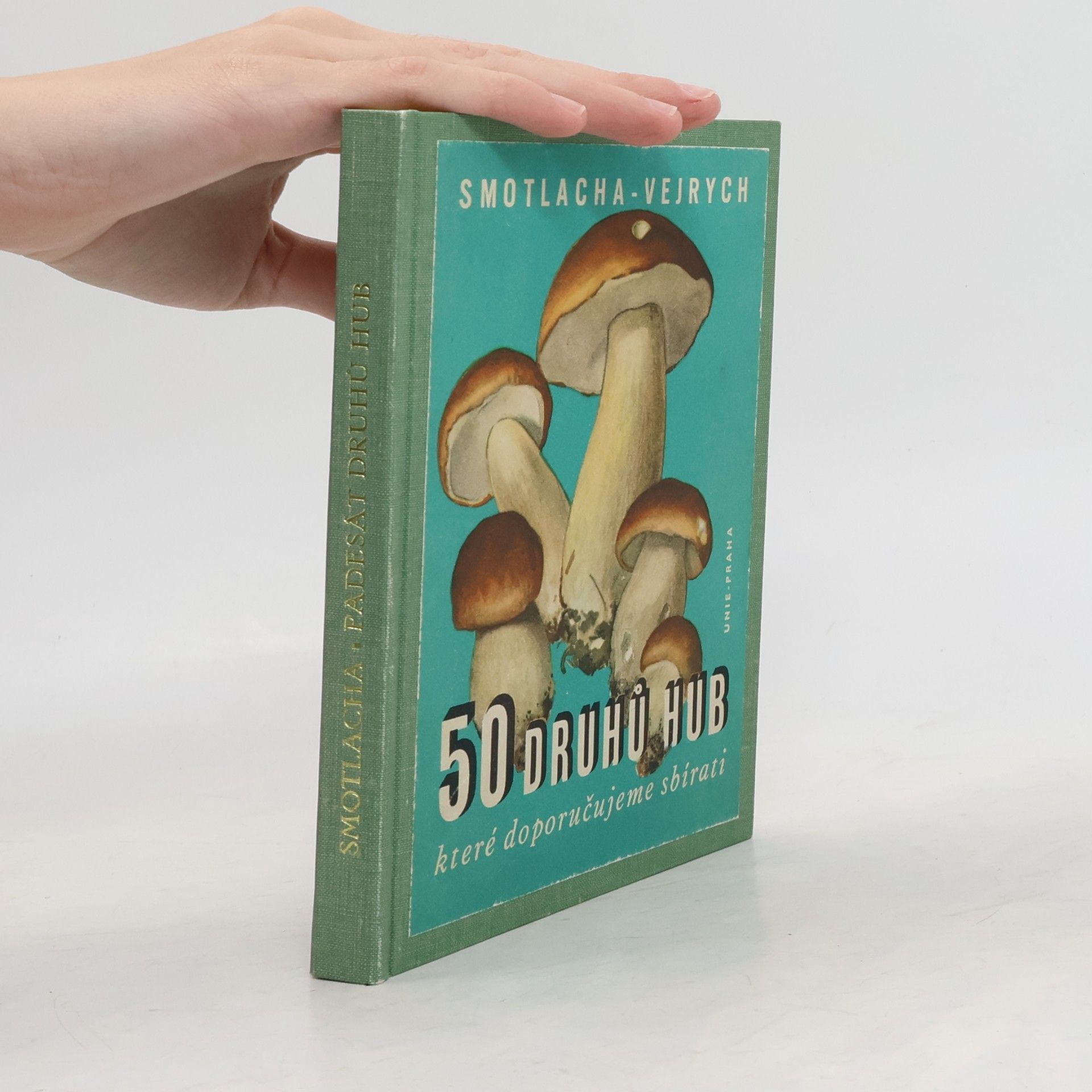 50 druhů hub, které doporučujeme sbírati