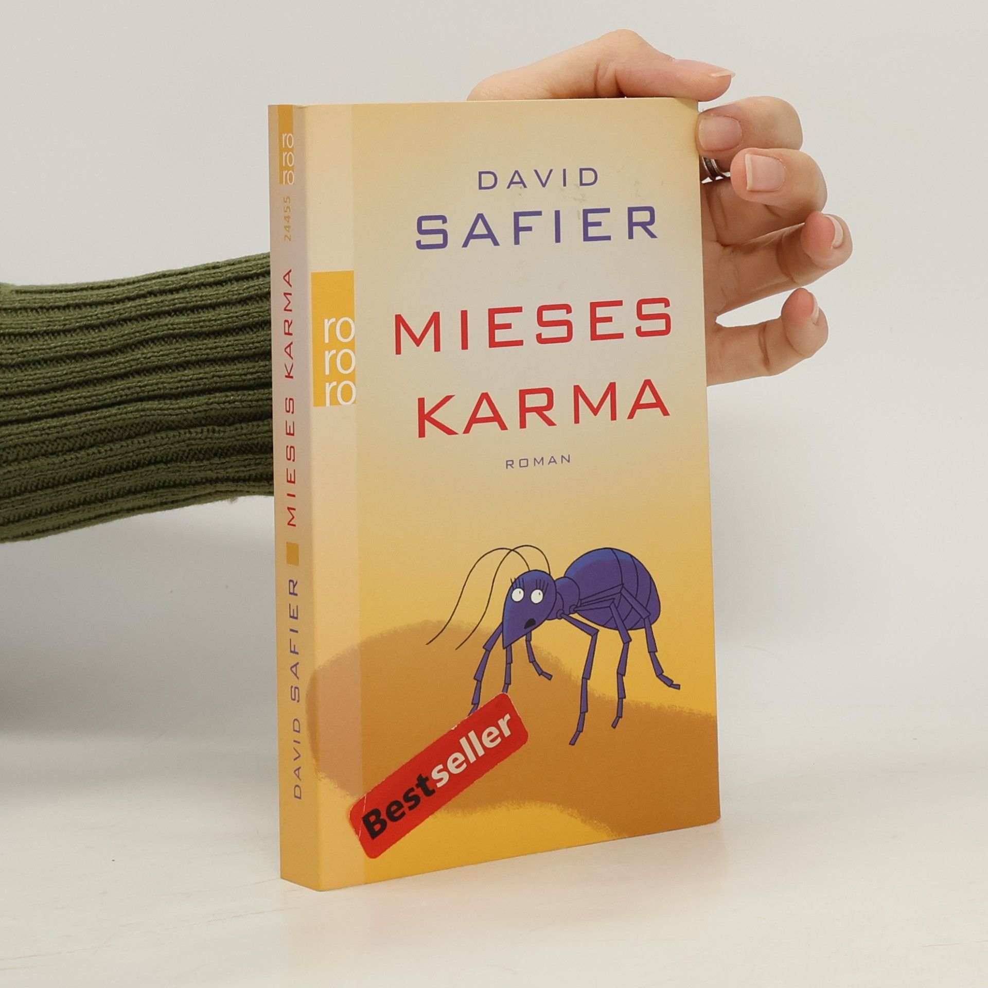 David Safier Mieses Karma