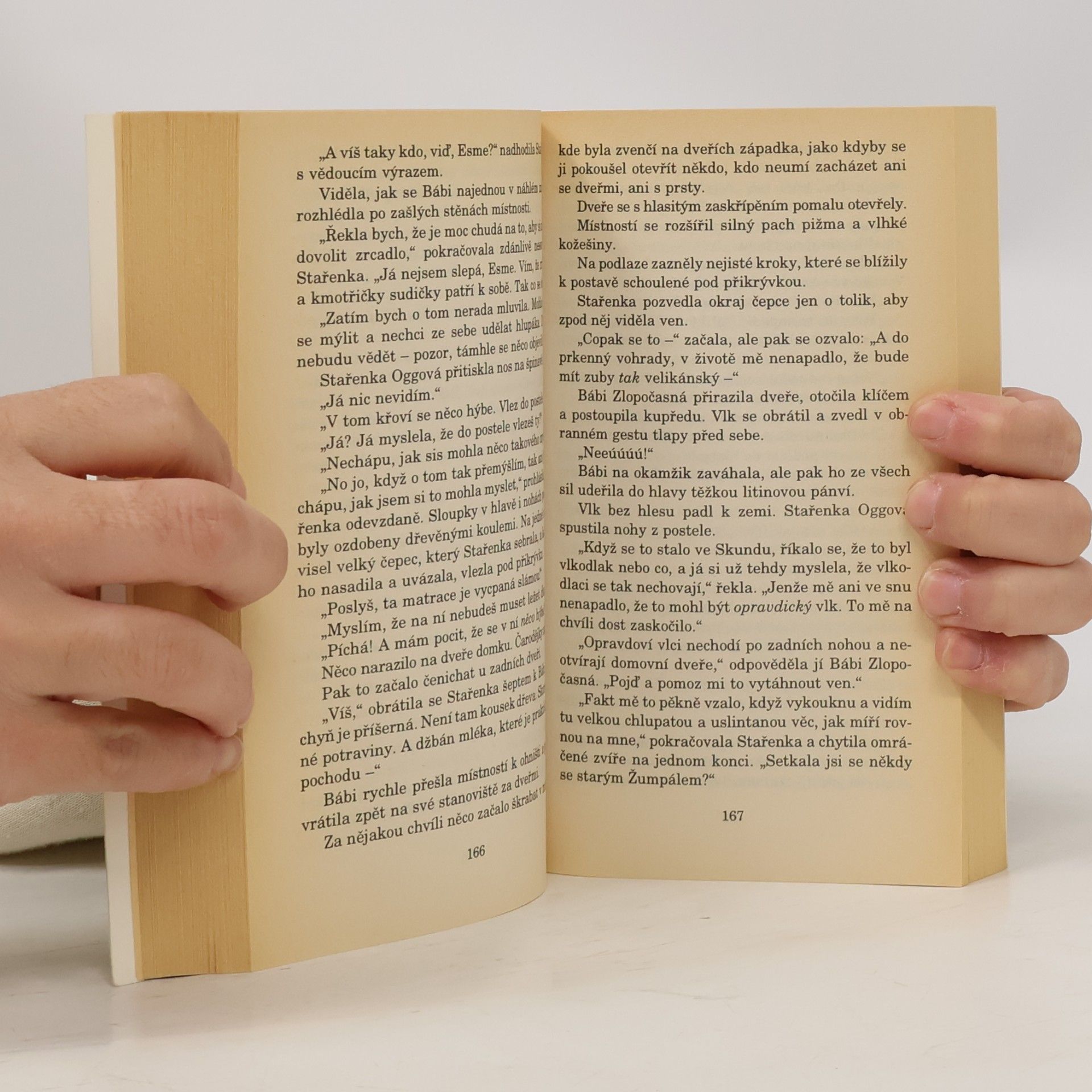 Terry Pratchett Čarodějky na cestách