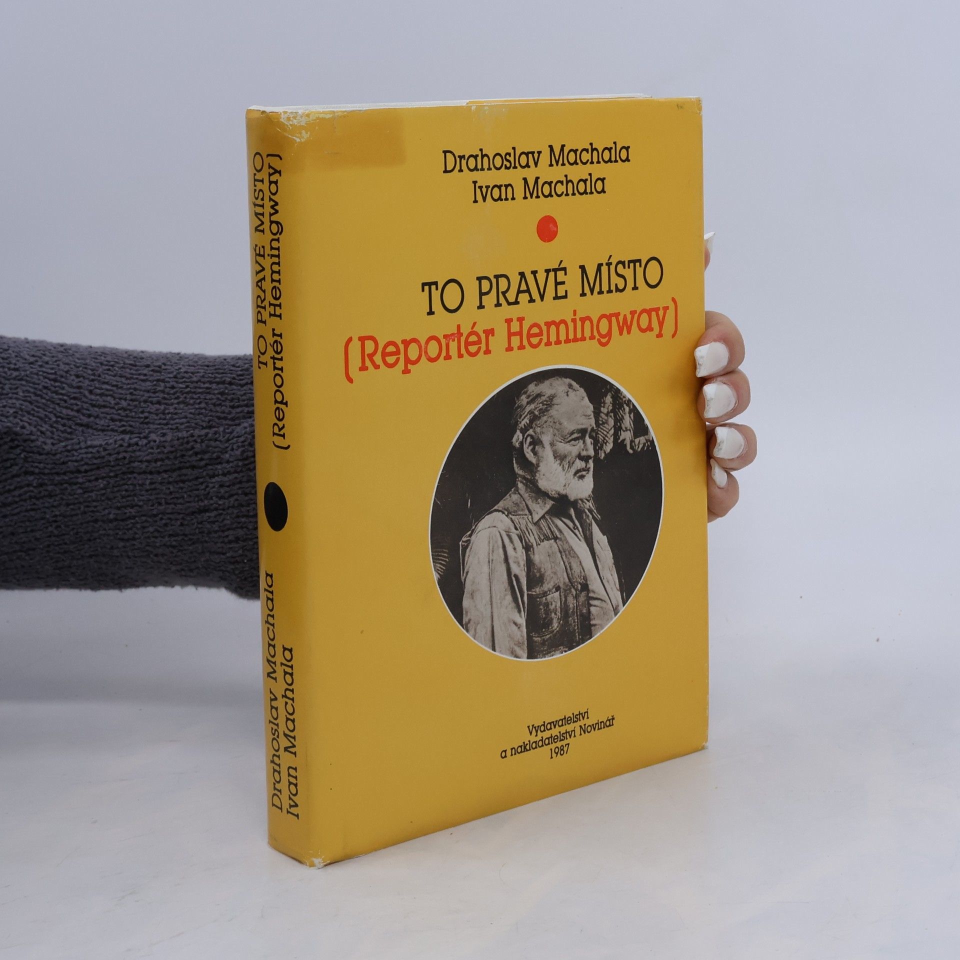 Danica Kozlová To pravé místo. (Reportér Hemingway)