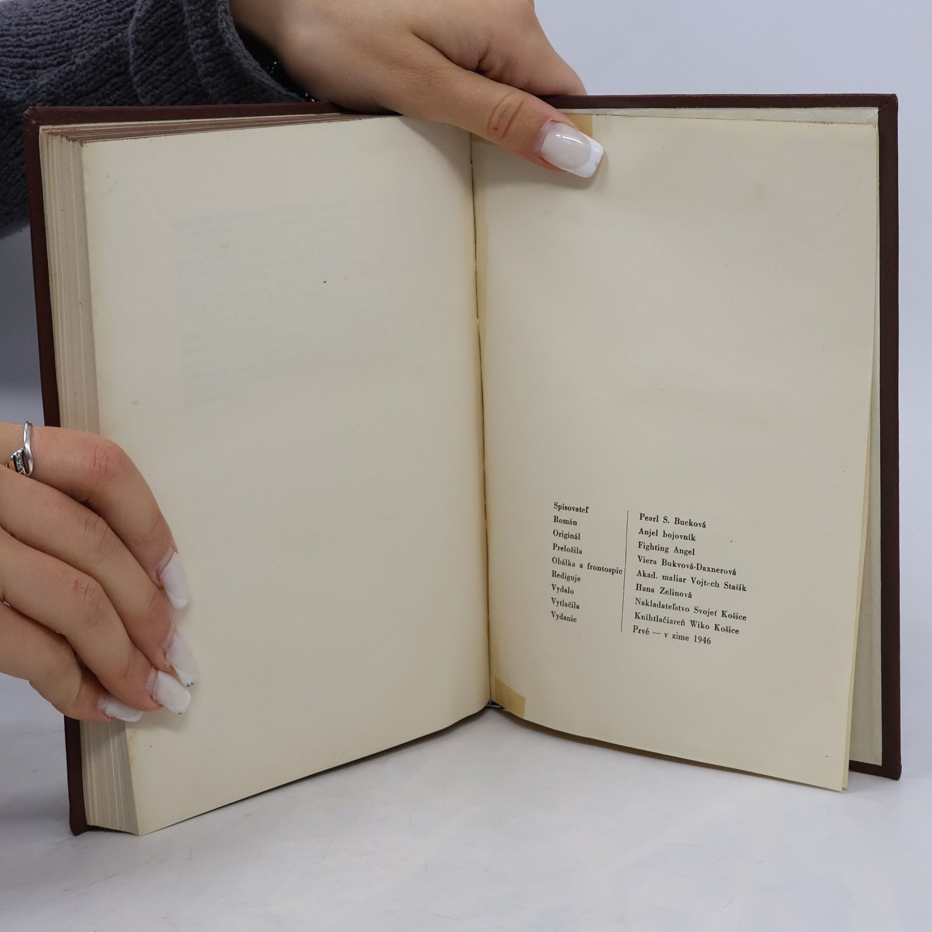 Pearl S. Buck Anjel bojovník