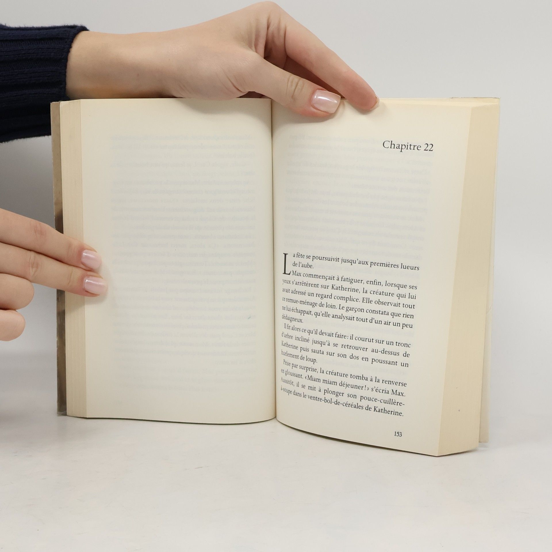 Dave Eggers Les Maximonstres