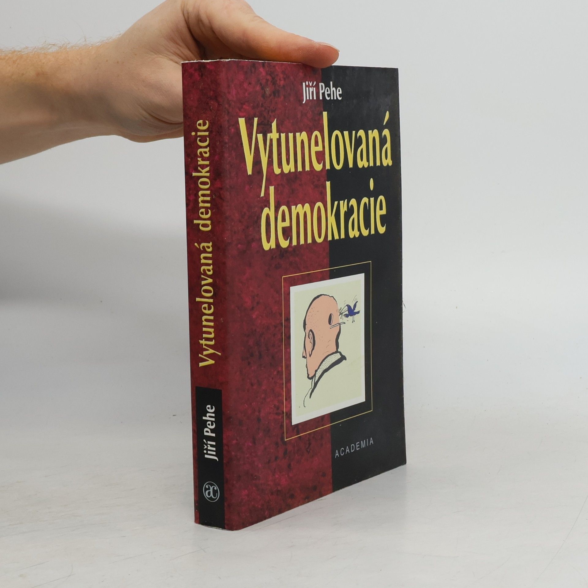 Jiří Pehe Vytunelovaná demokracie
