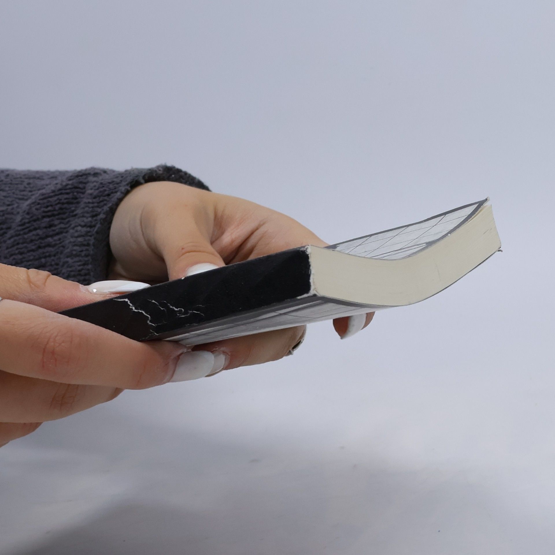 Kolektiv autorů Mezi literaturou a filmem