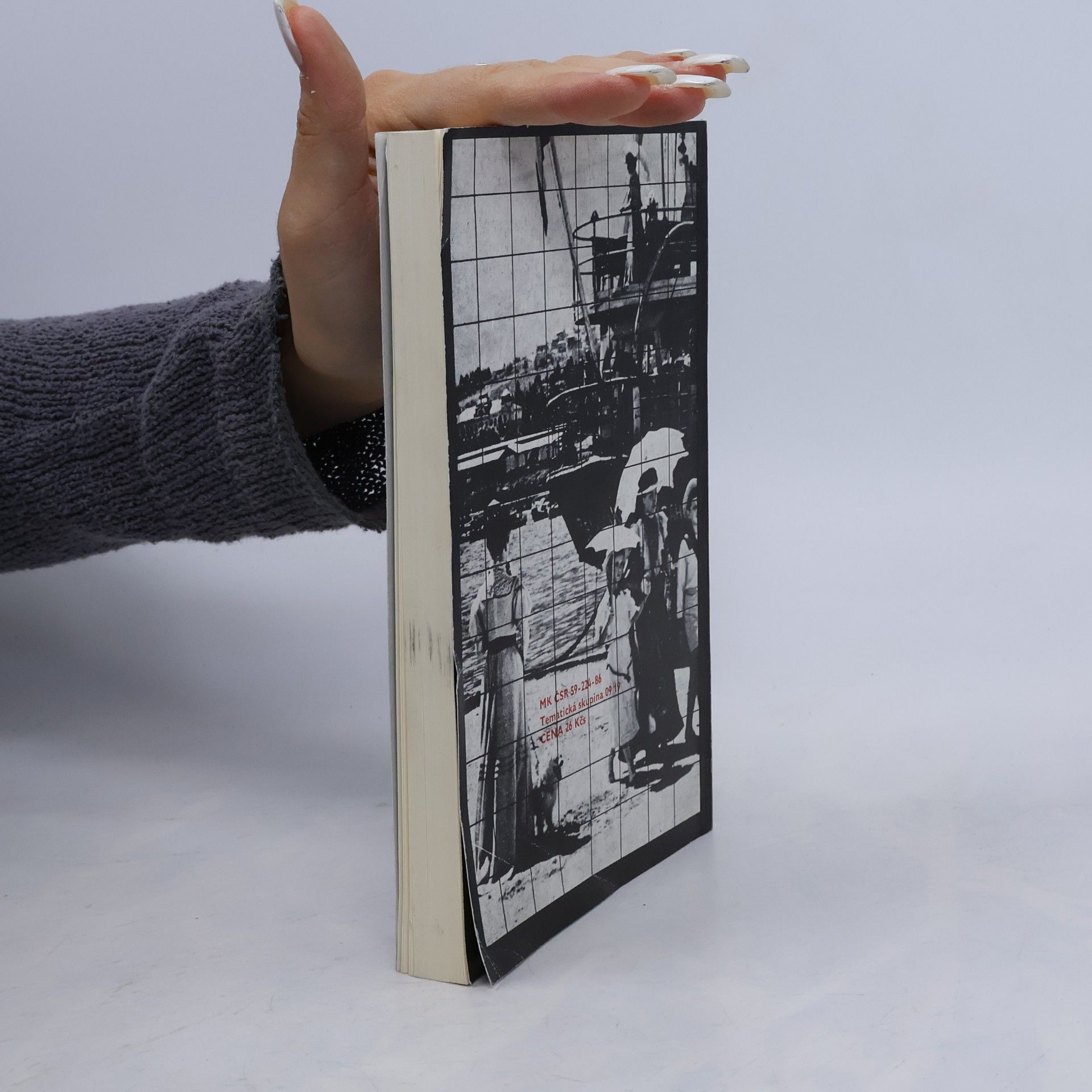 Kolektiv autorů Mezi literaturou a filmem