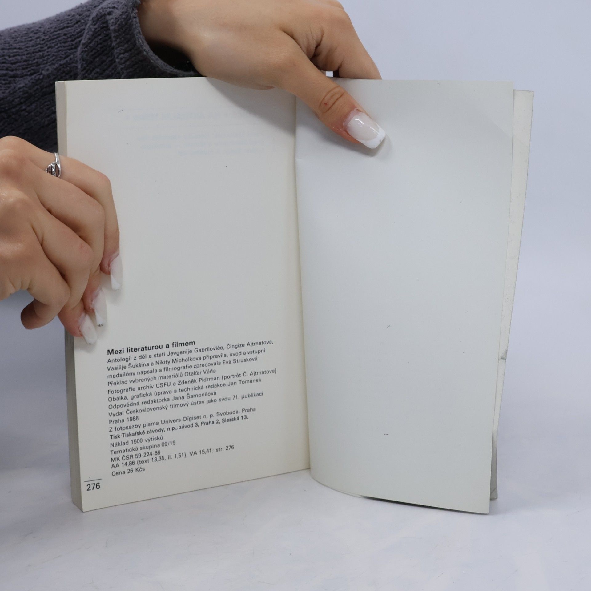 Kolektiv autorů Mezi literaturou a filmem