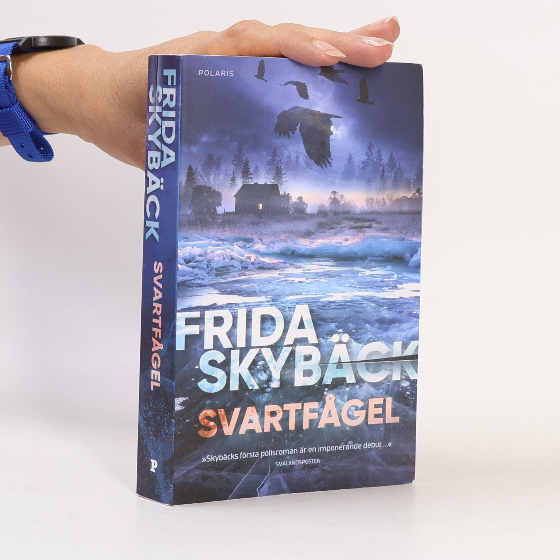 Frida Skybäck Svartfågel