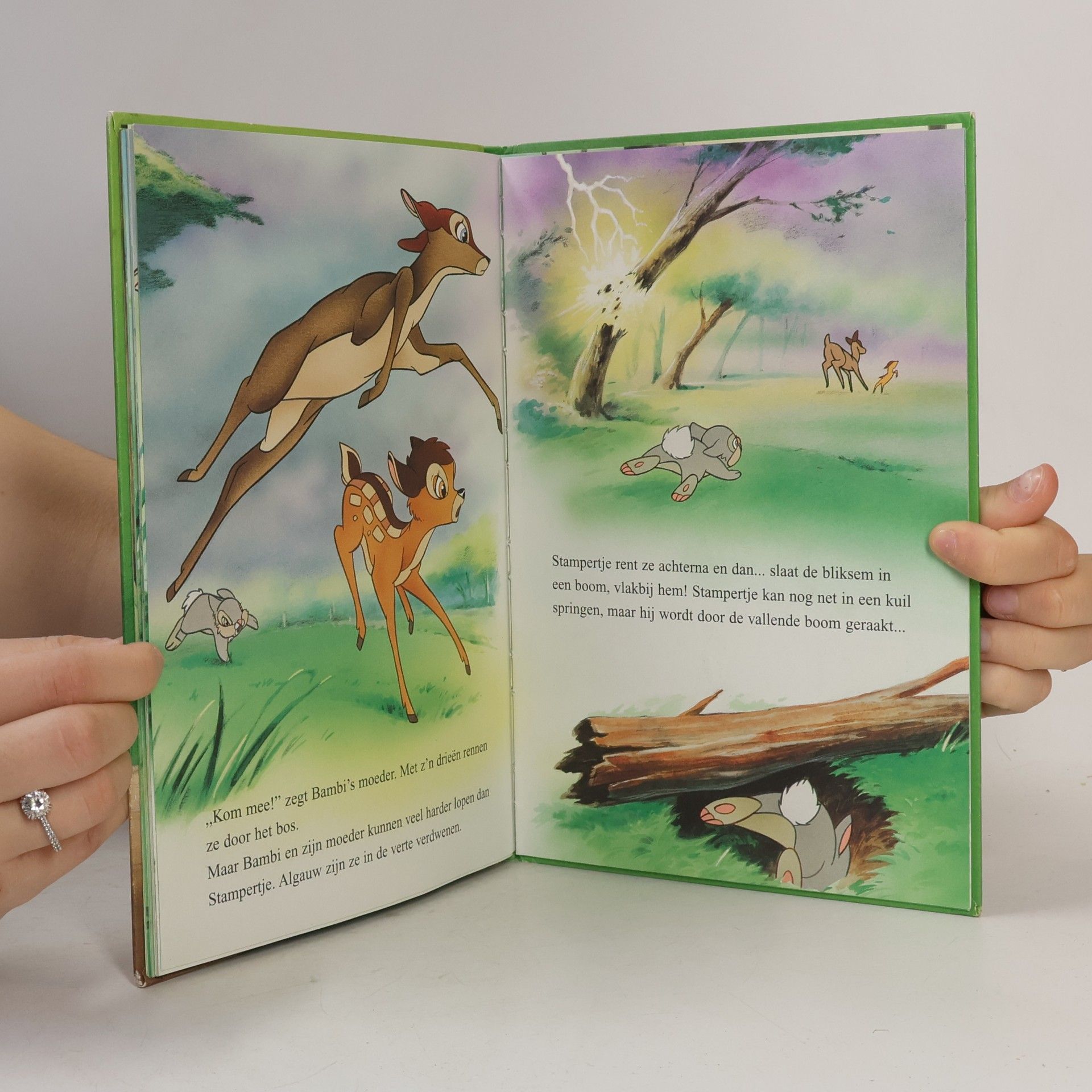 Walt Disney Disney Boekenclub: Stampertje in gevaar