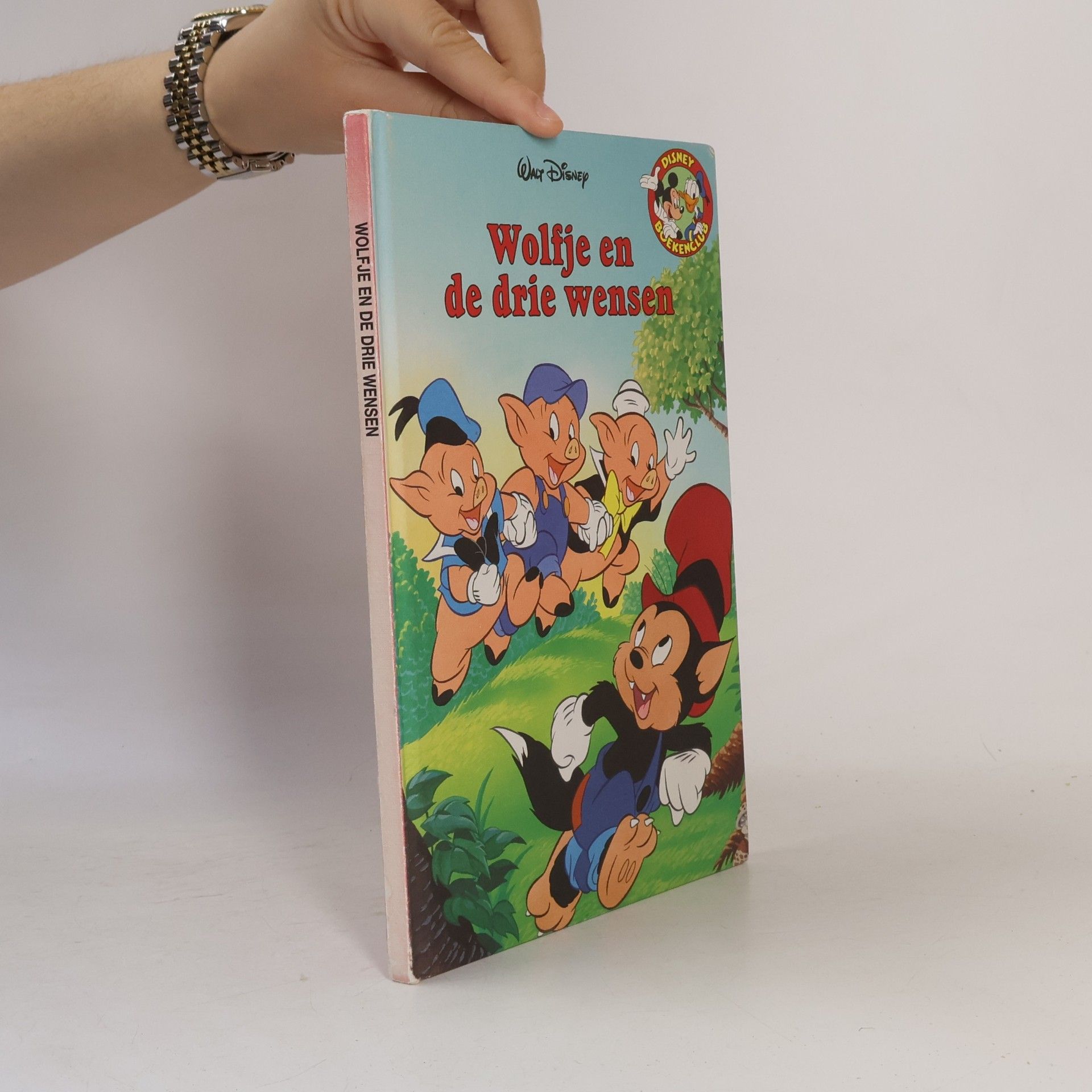 Autorenkollektiv Wolfje en de drie wensen