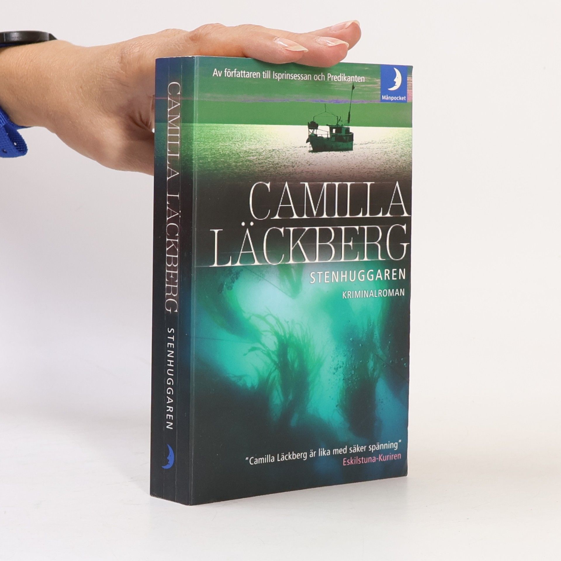 Camilla Läckberg Stenhuggaren