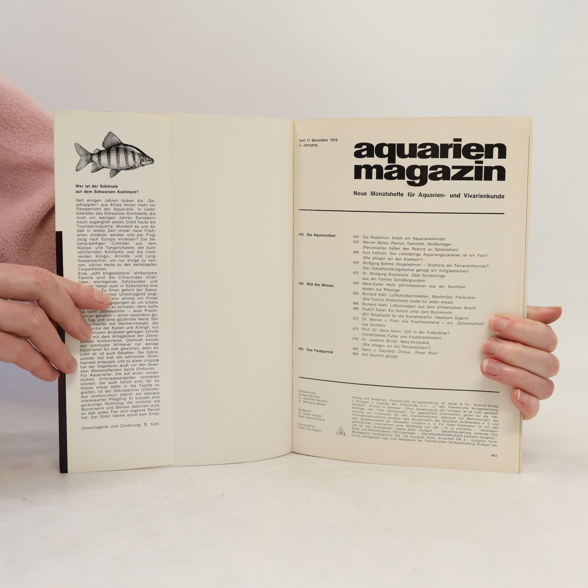 kolektiv Aquarien Magazin