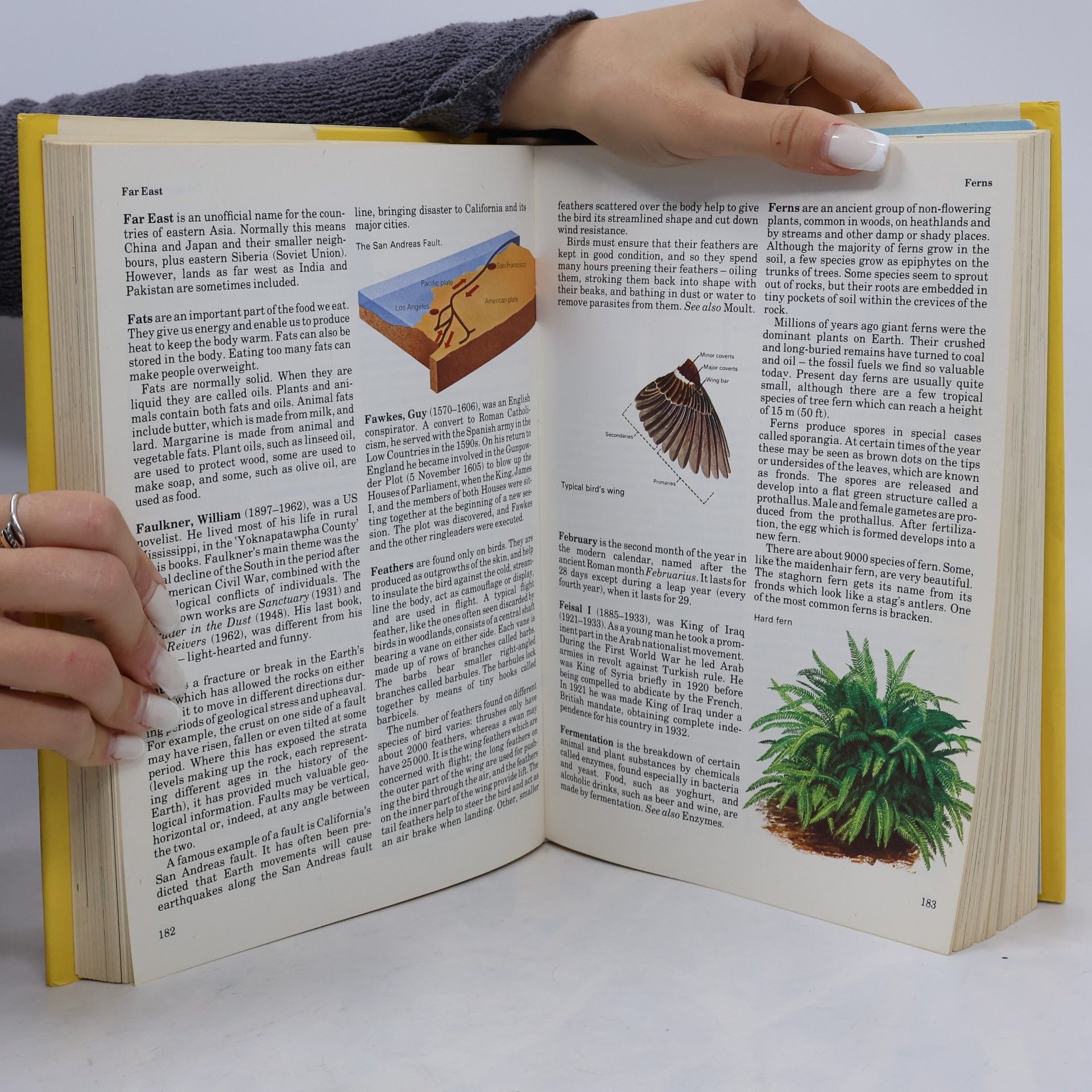 John Bailie Giant book of knowledge A-Z