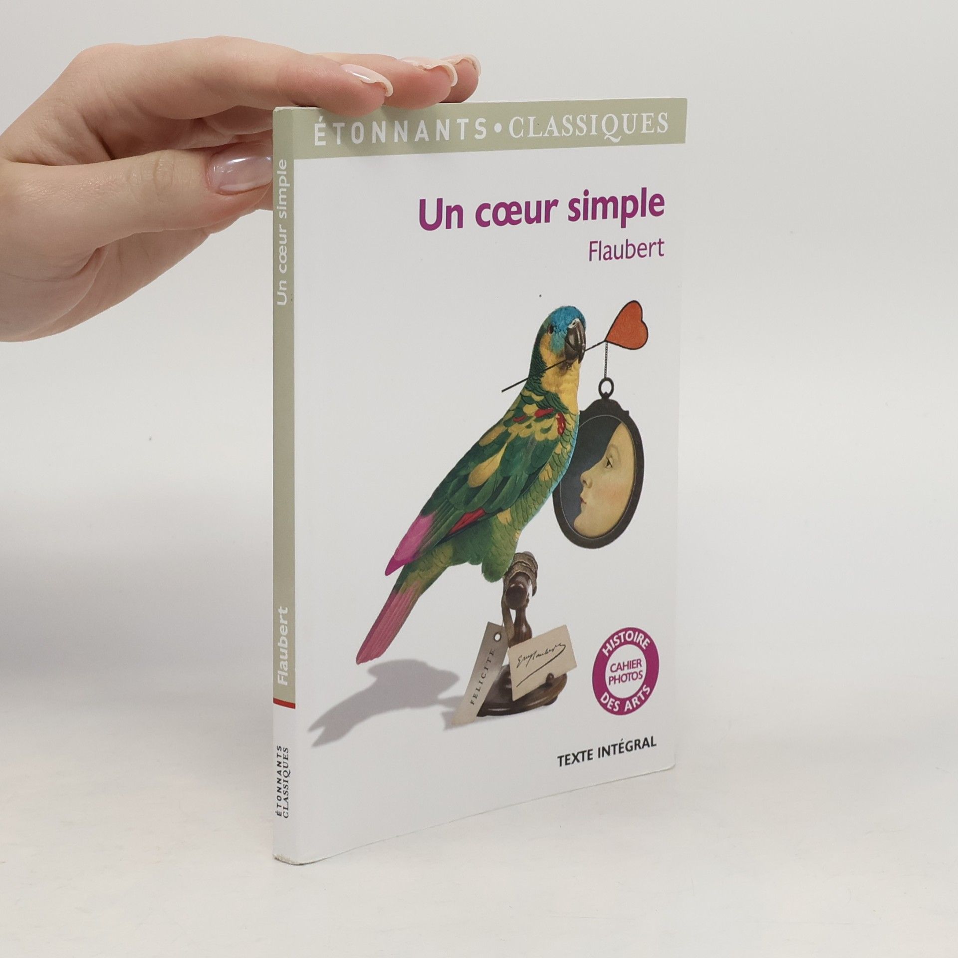 Gustave Flaubert Un cœur simple - Histoire cahier photos des arts - Texte intégral
