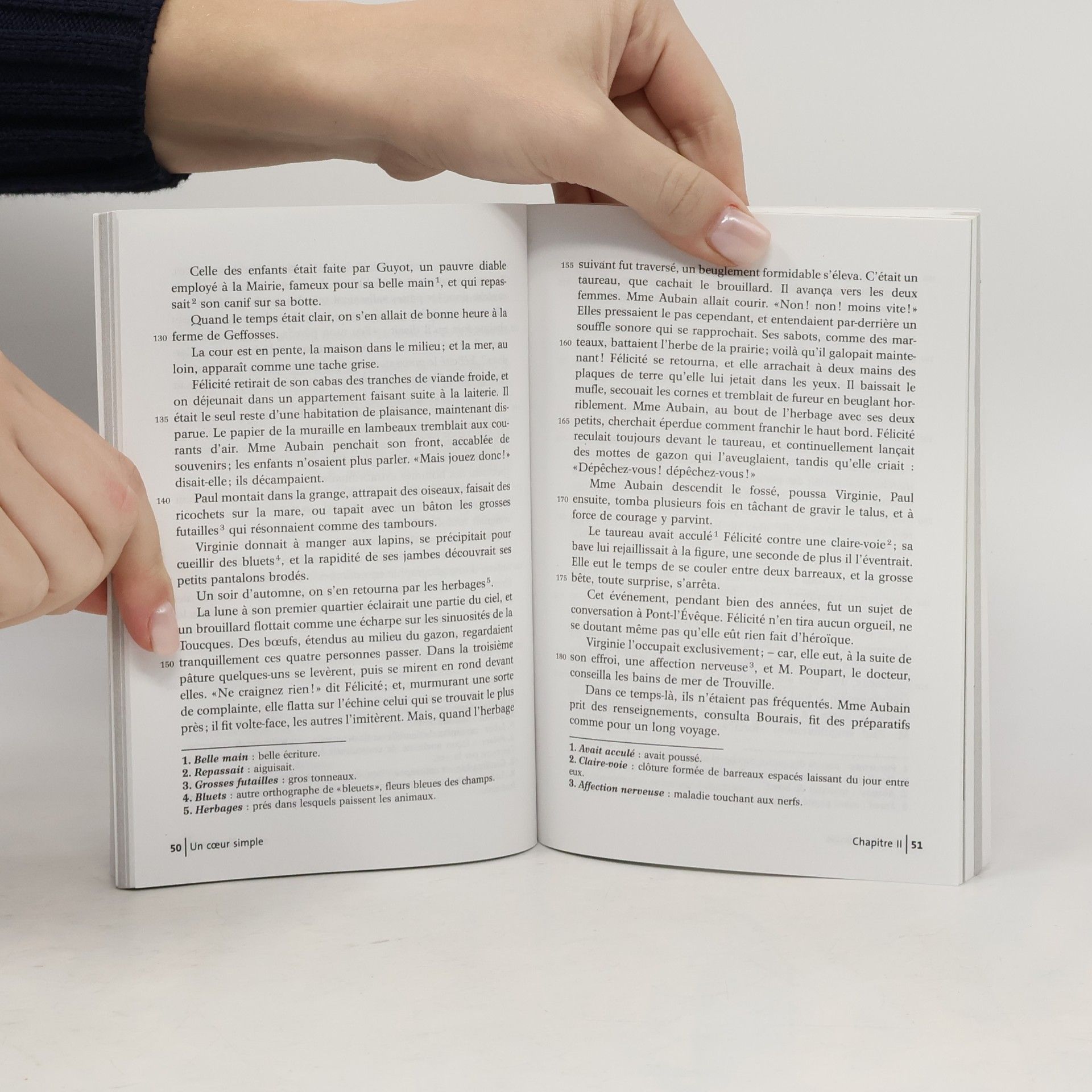 Gustave Flaubert Un cœur simple - Histoire cahier photos des arts - Texte intégral